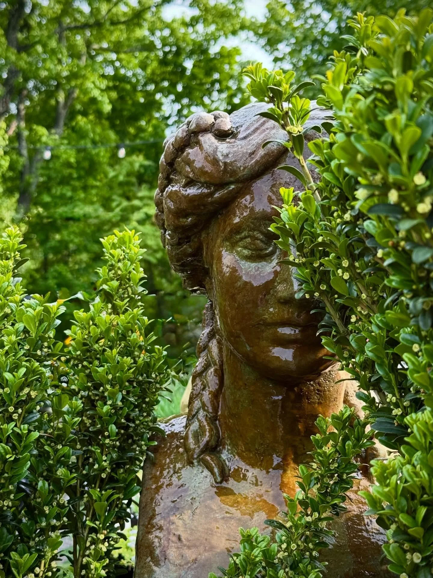 green was the silence, wet was the light, the month of june trembled like a butterfly. 

#&hearts;️laserragardens
#womanownedbusiness
#comewander
#njgardencenter
#laserraafterdark