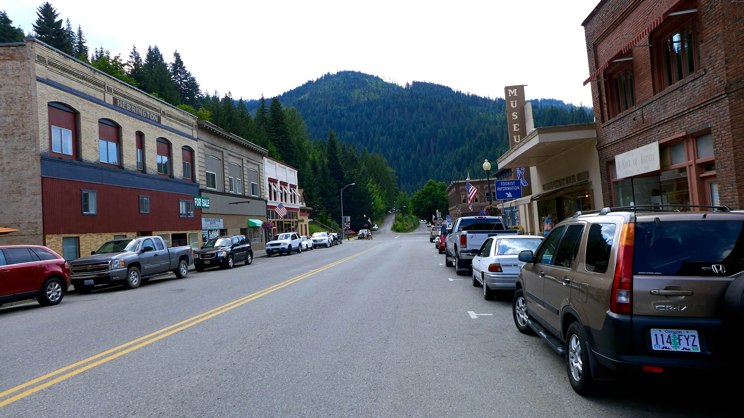 L1000548.jpg
