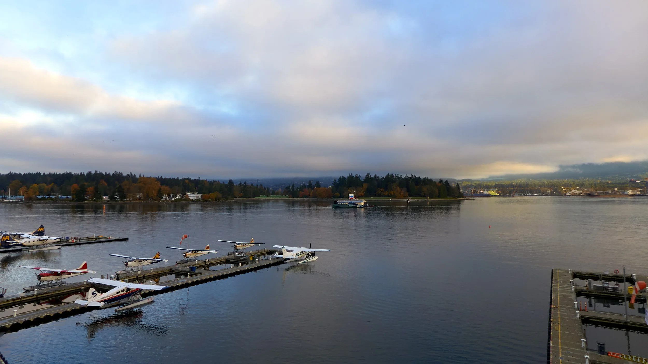 L1000963.jpg