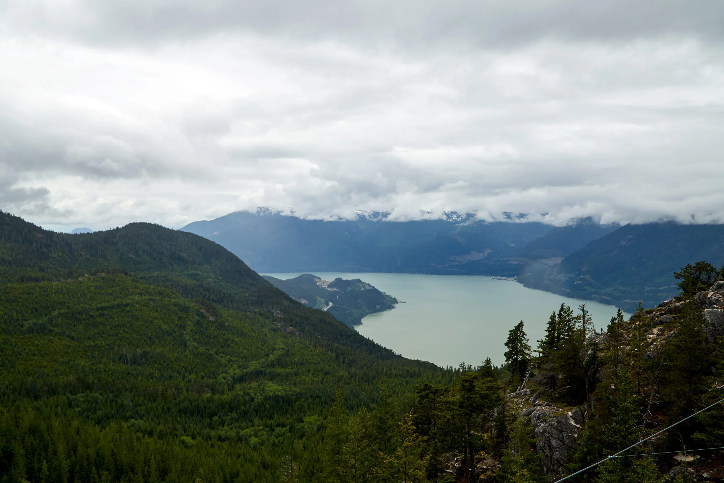 052316_whistler-DAD_928.jpg