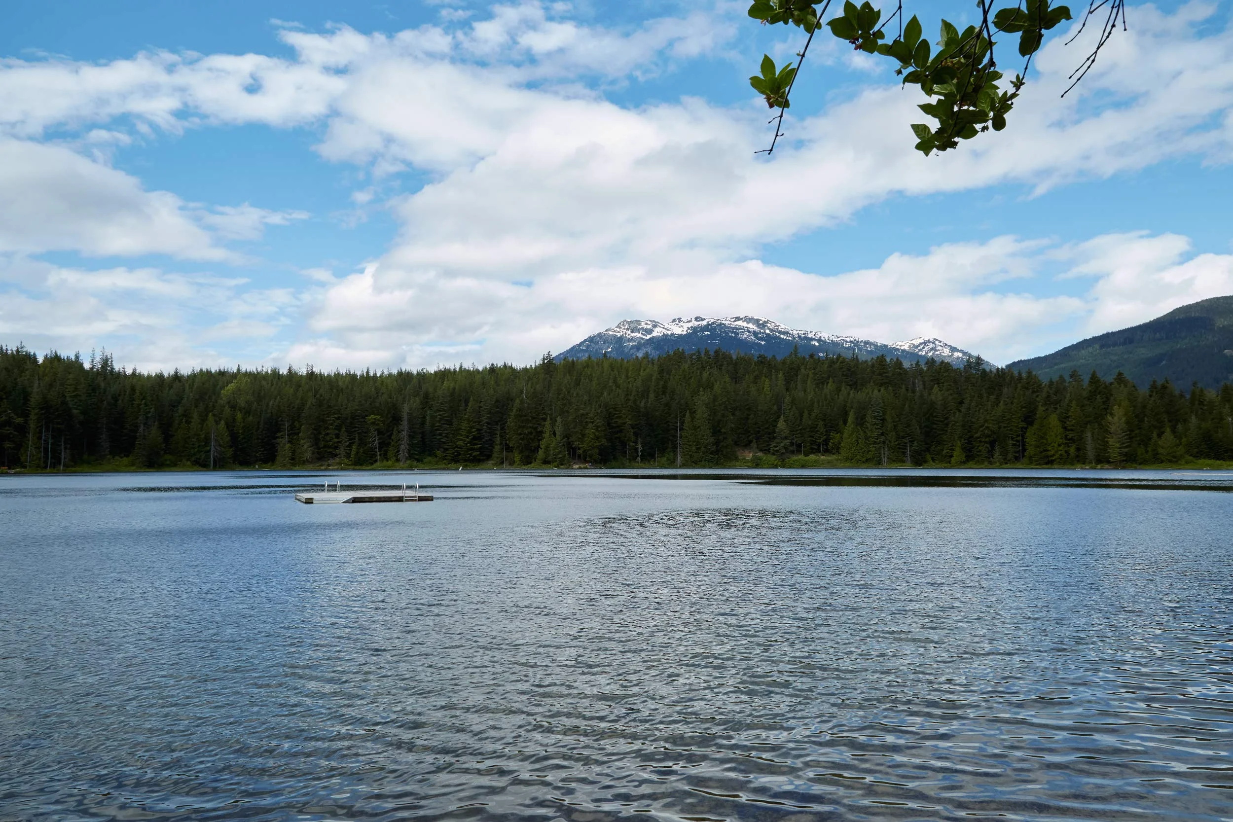 052316_whistler-DAD_1021.jpg
