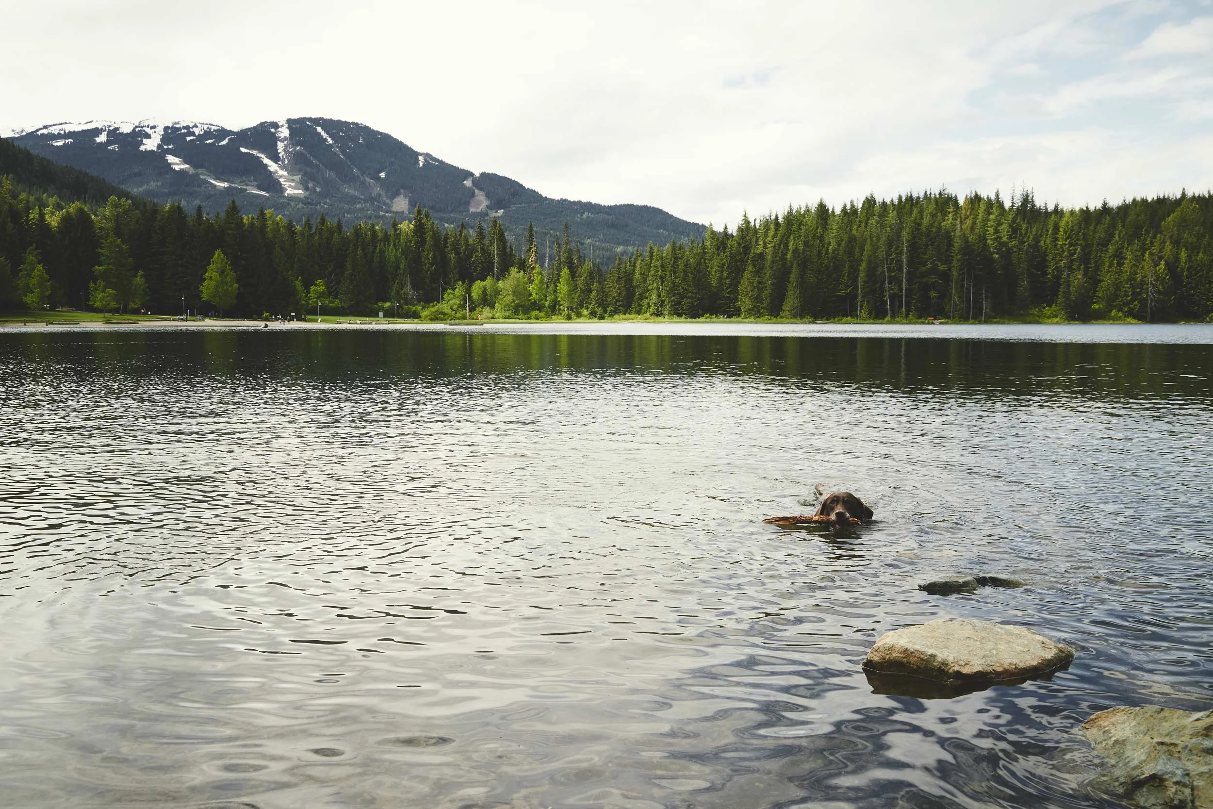 052316_whistler-DAD_1035.jpg