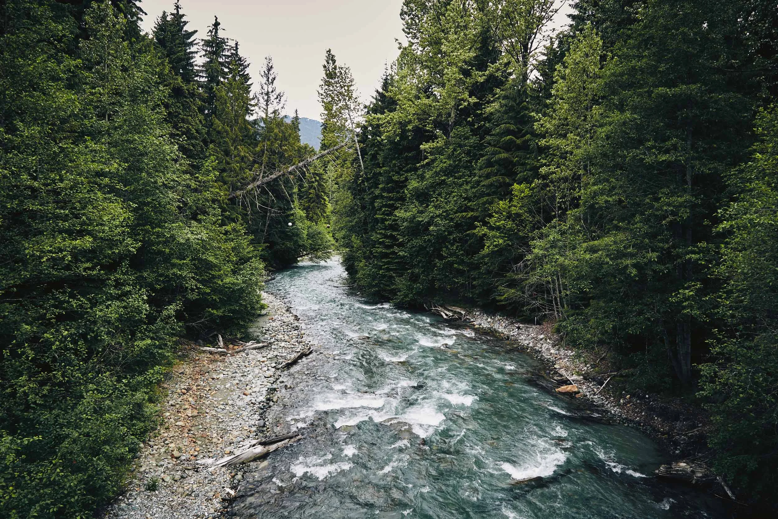 052316_whistler-DAD_1167.jpg