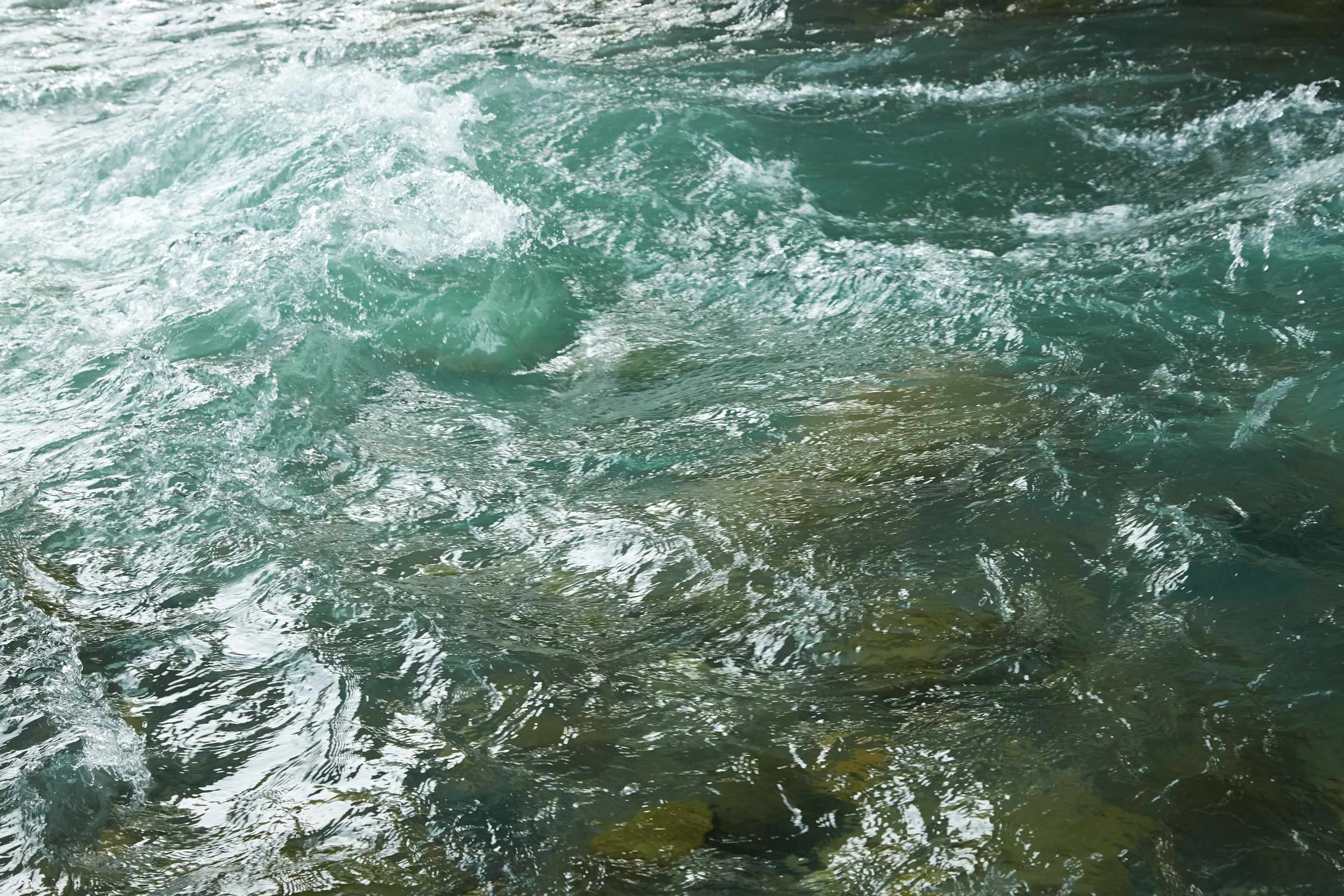 052316_whistler-DAD_1180.jpg