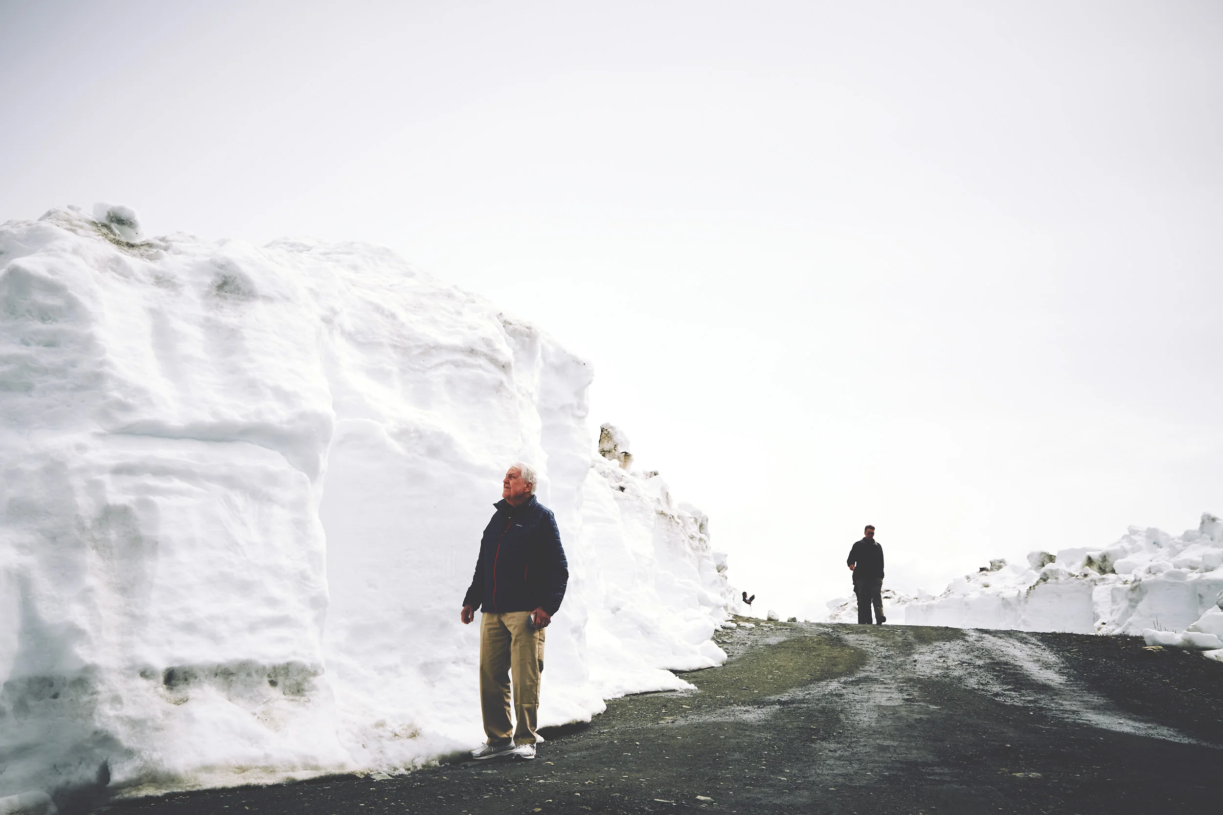 052316_whistler-DAD_1197.jpg