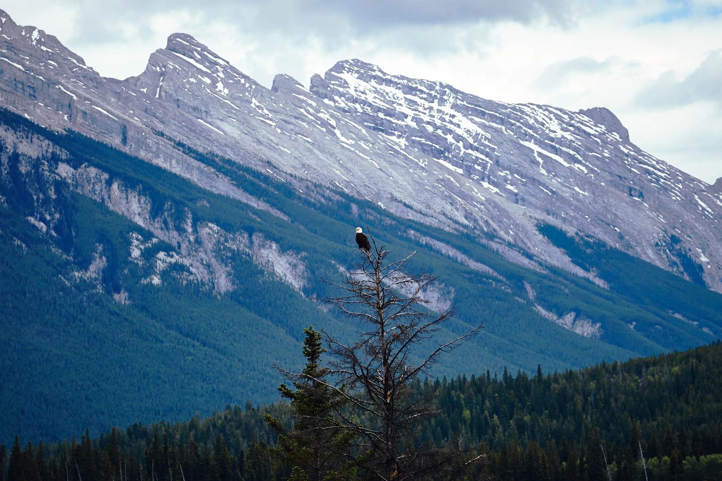 060017_banff_761.jpg