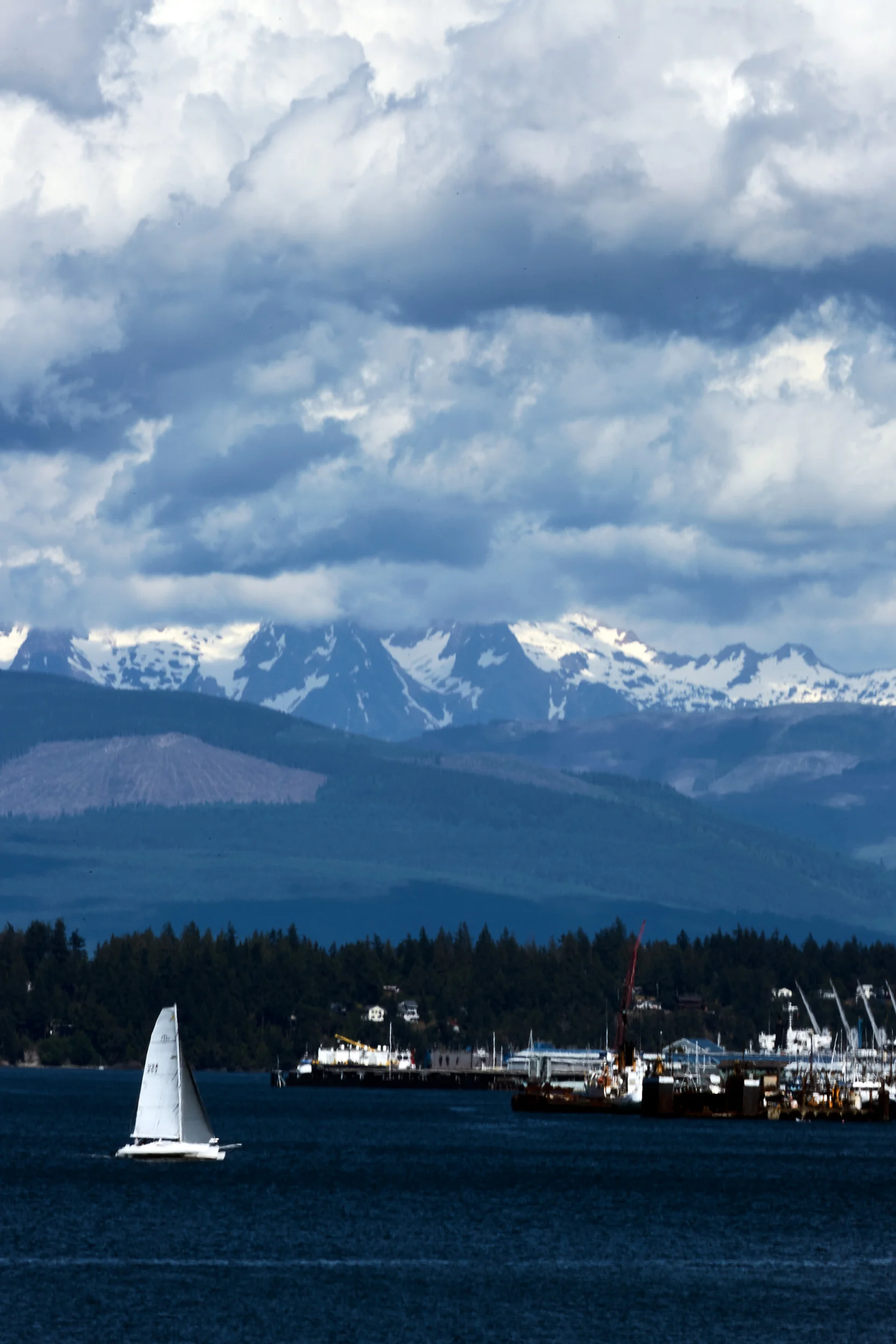 061318_roche_023.jpg