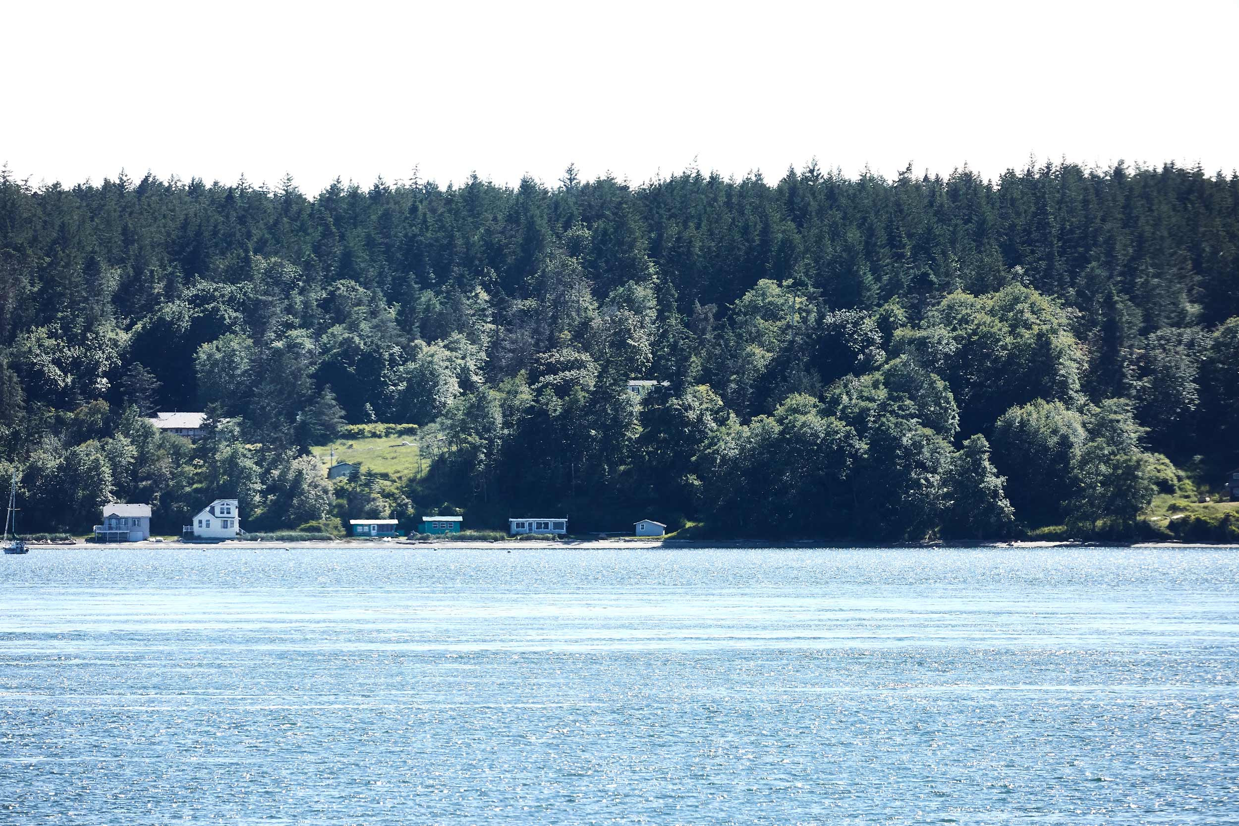 061318_roche_039.jpg