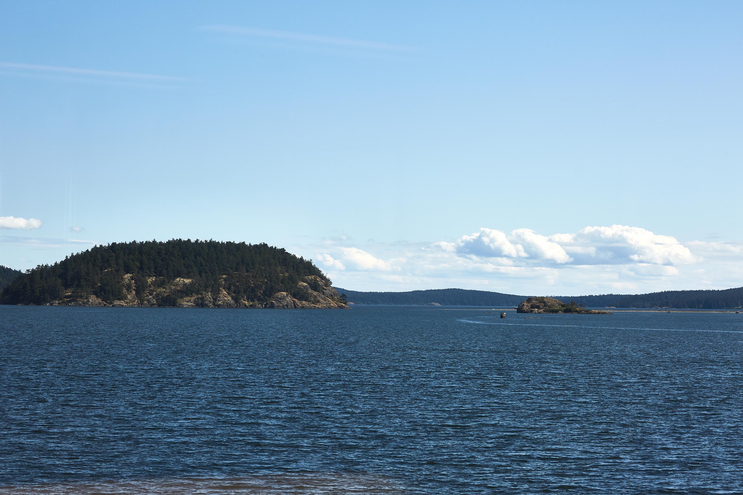 061318_roche_040.jpg