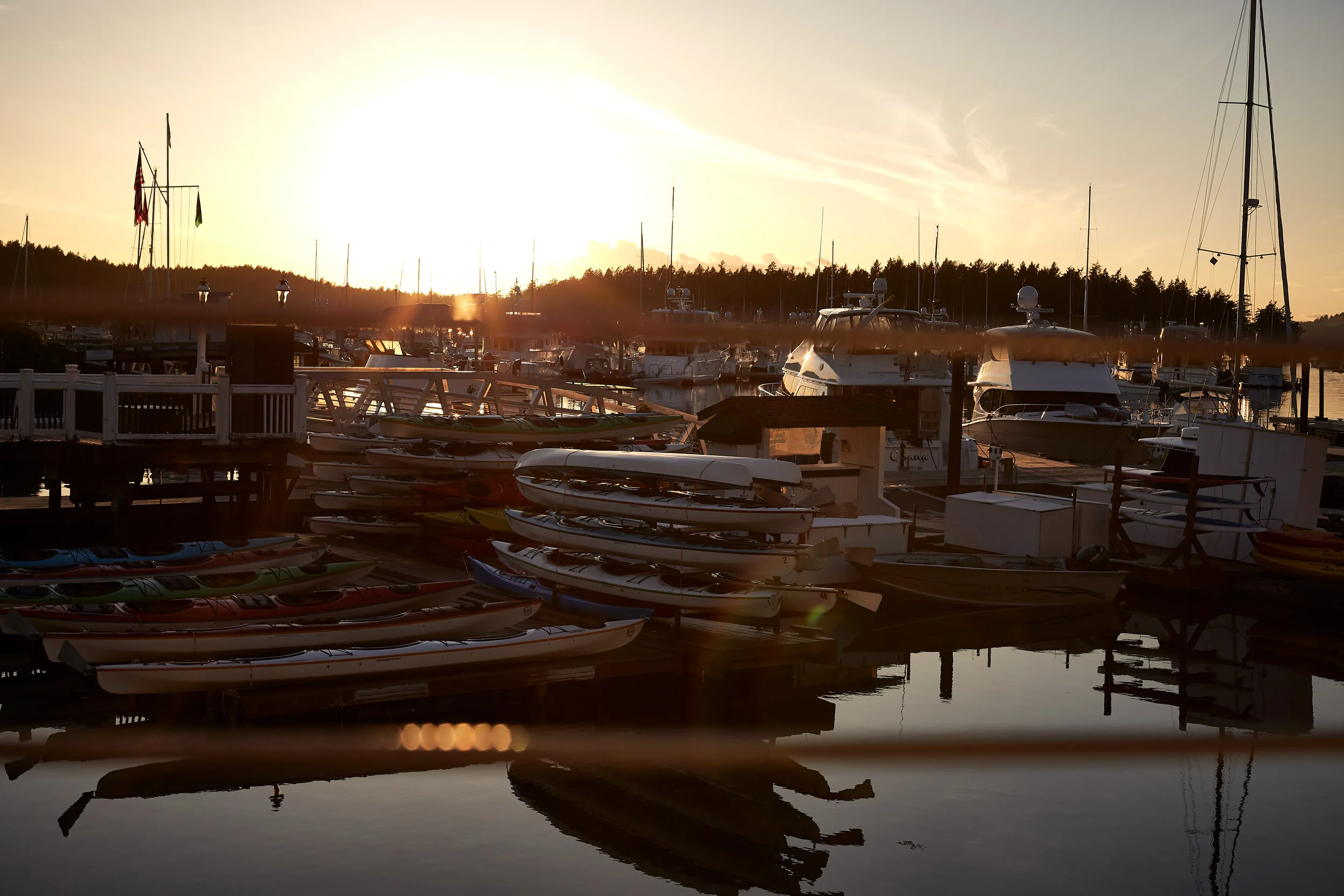 061318_roche_045.jpg