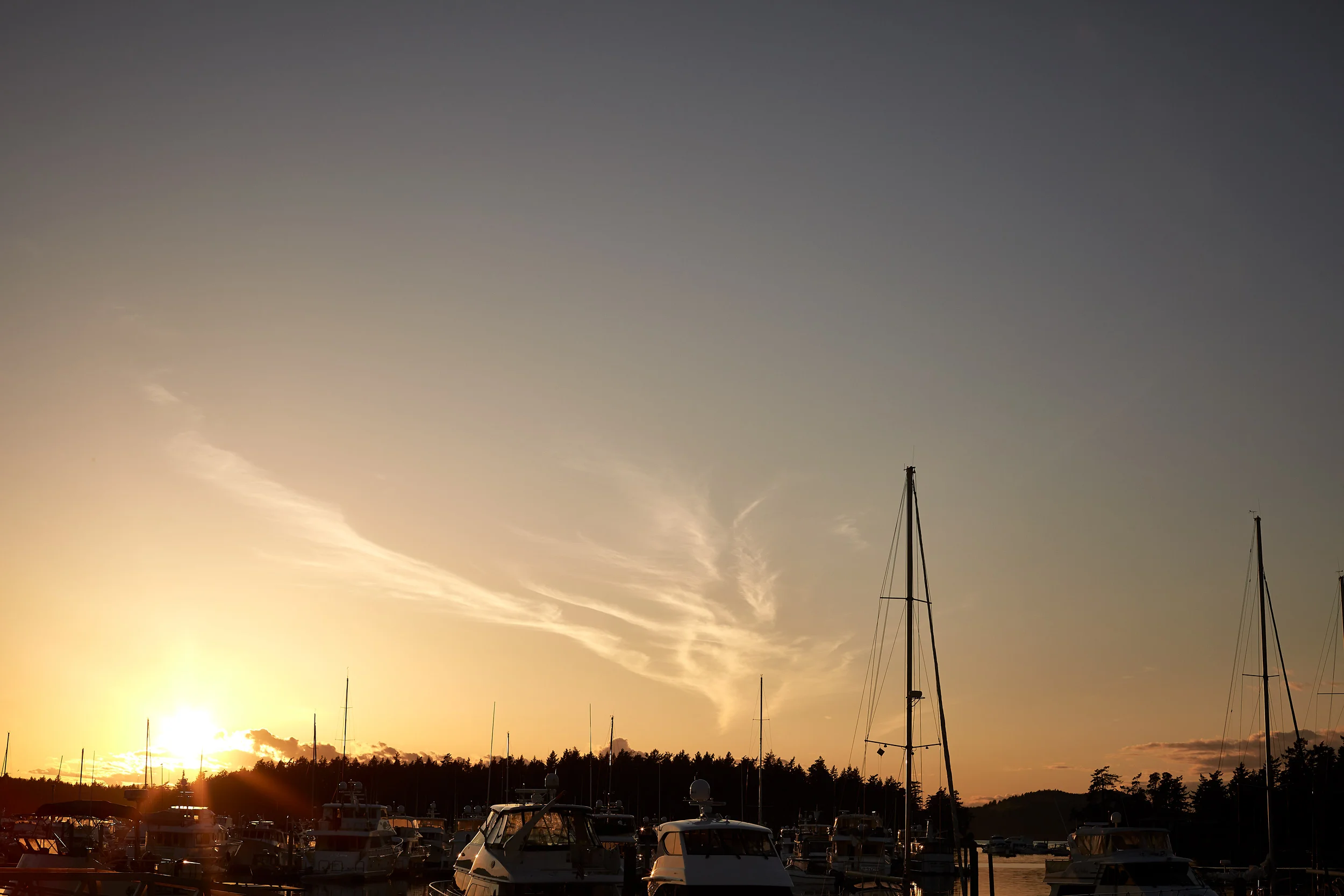 061318_roche_050.jpg