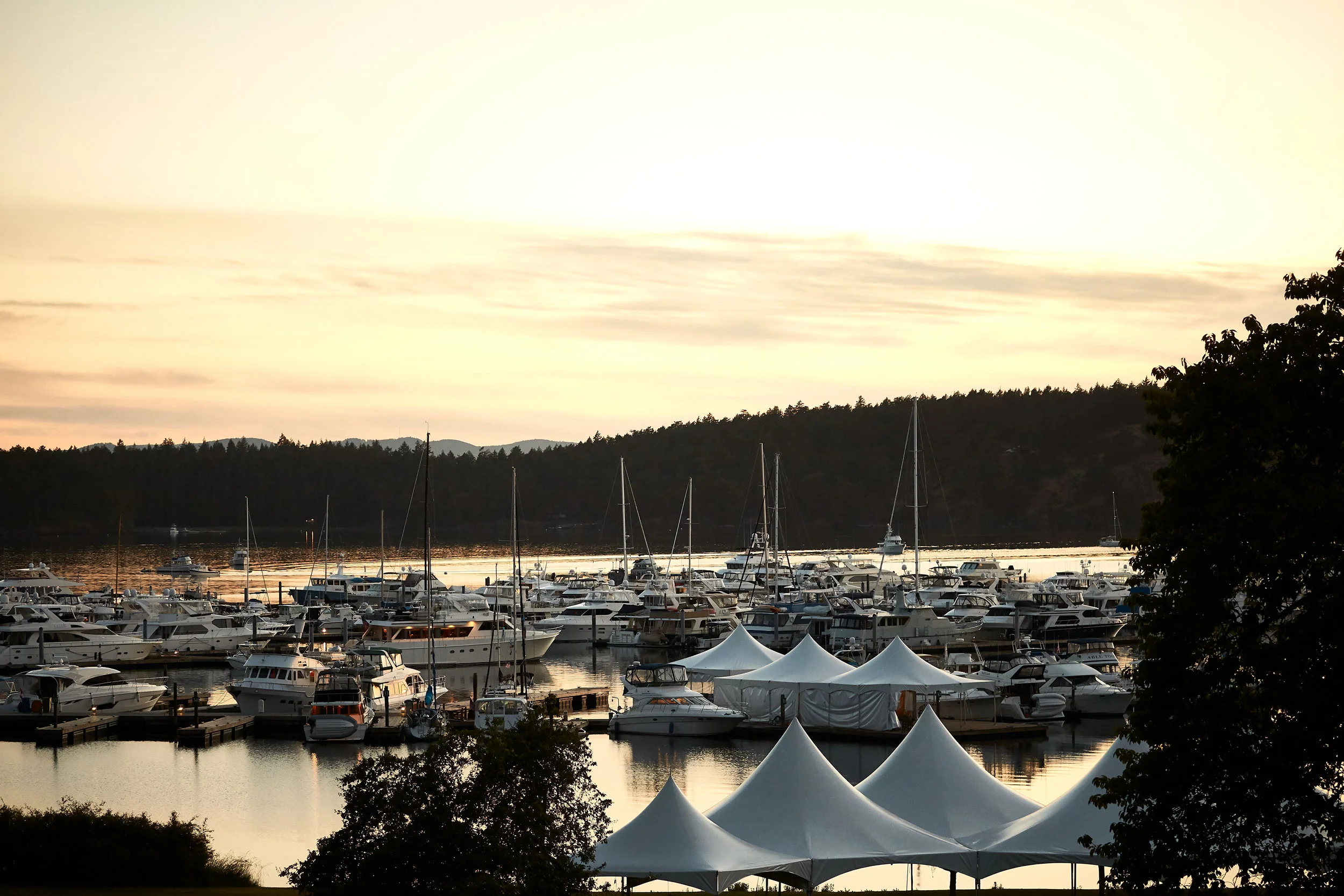 061318_roche_069.jpg