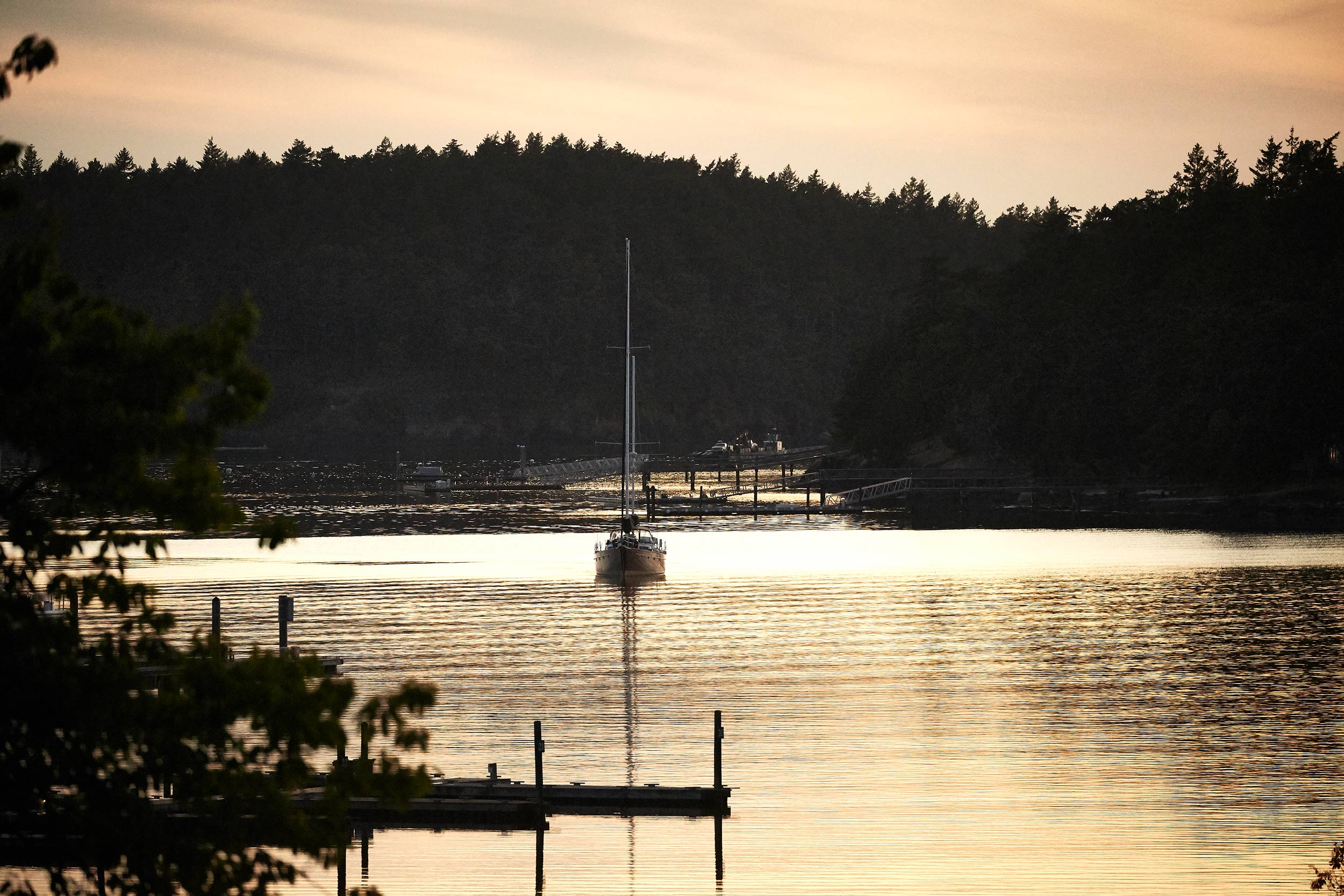 061318_roche_070.jpg