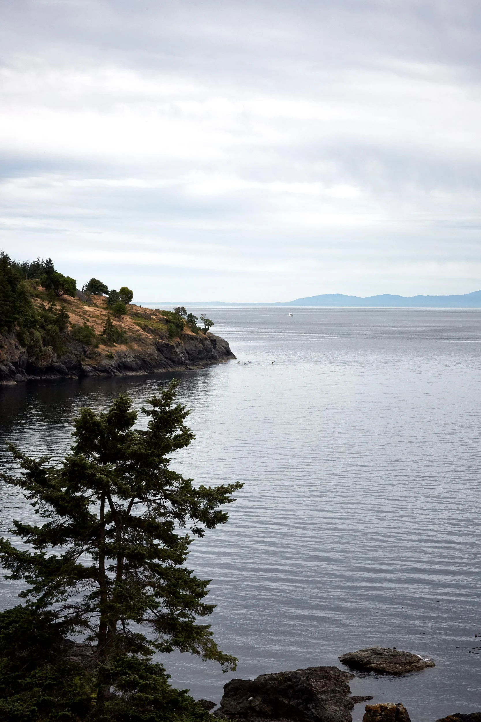 061318_roche_139.jpg
