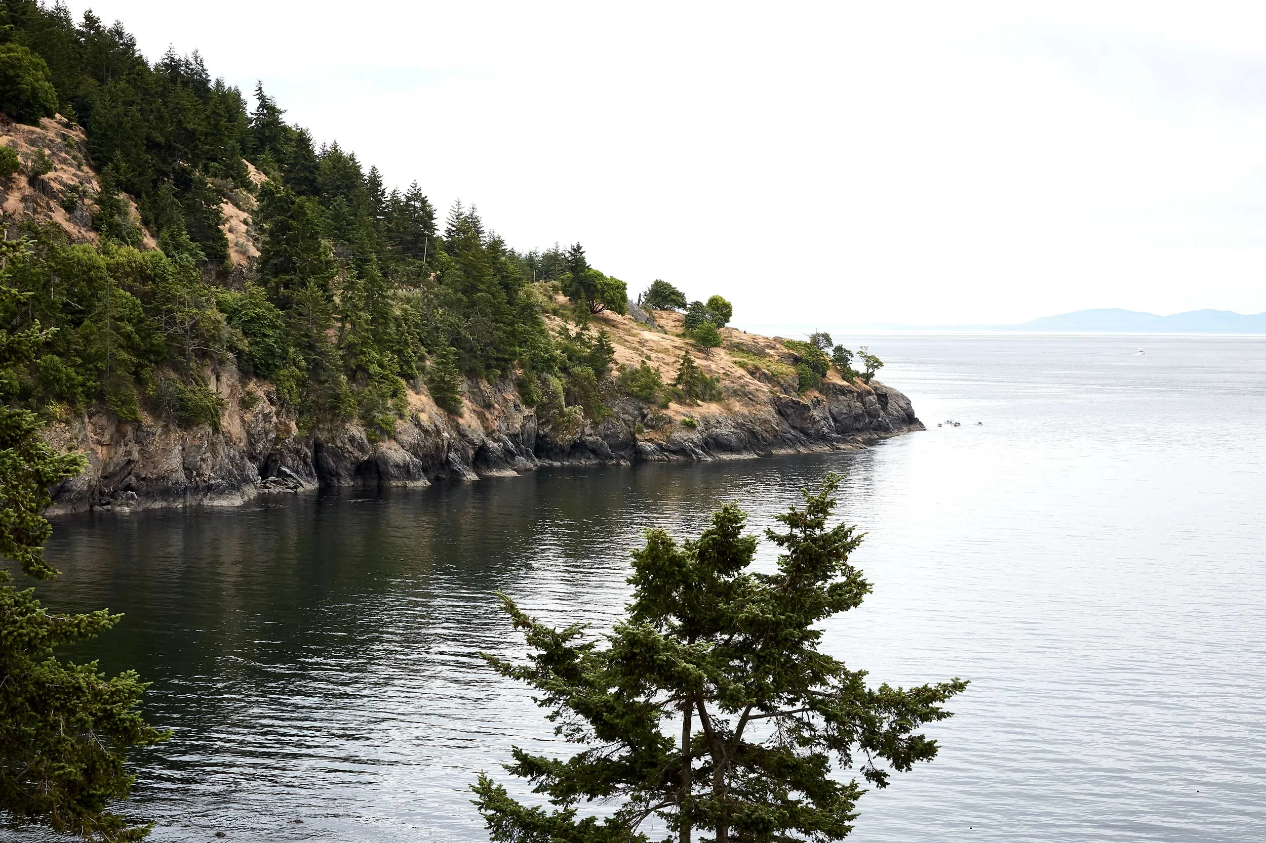 061318_roche_142.jpg