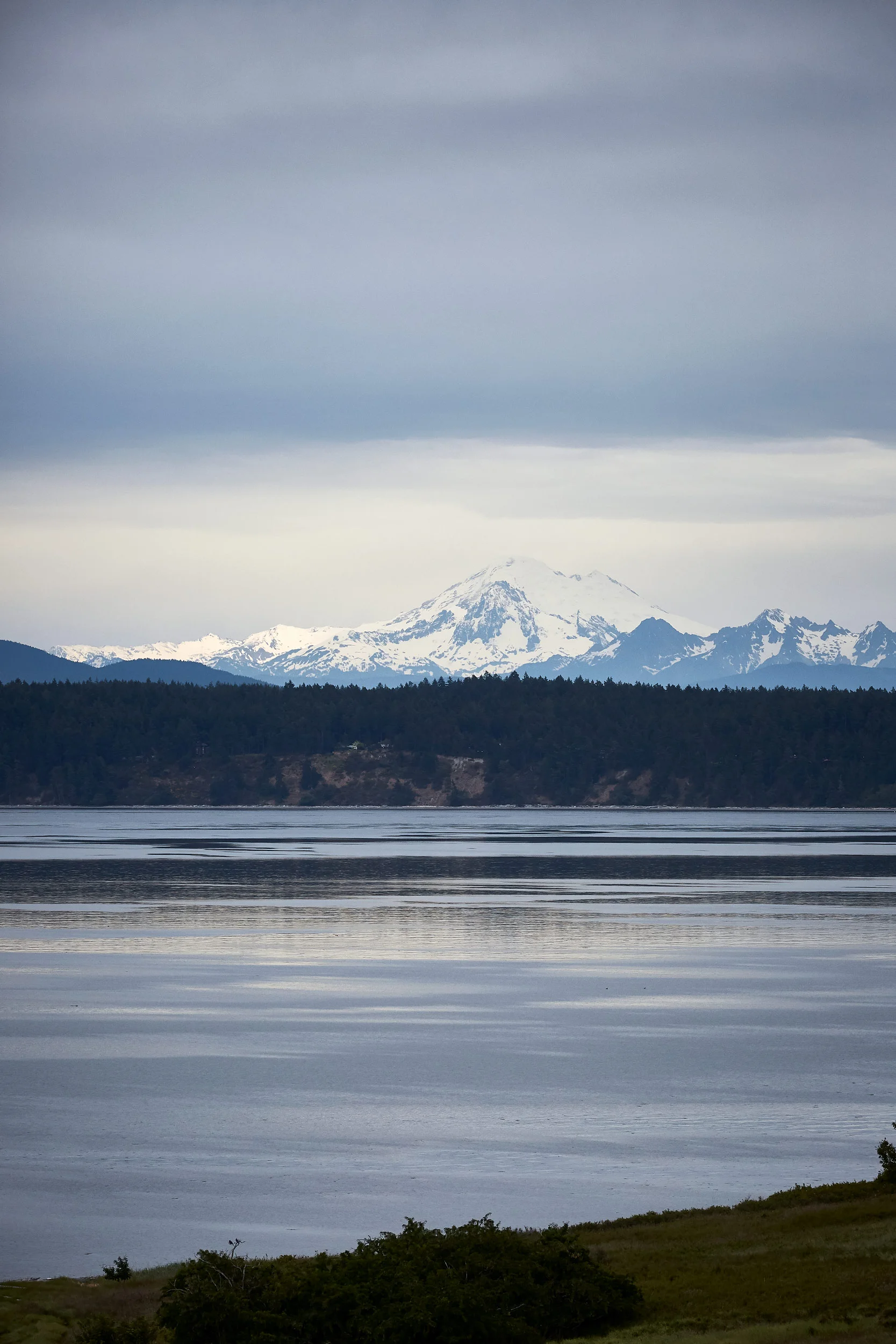 061318_roche_149.jpg