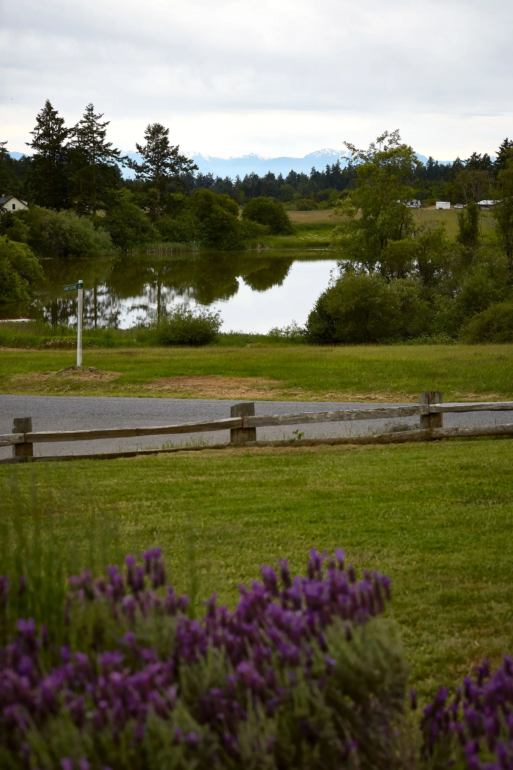 061318_roche_147.jpg
