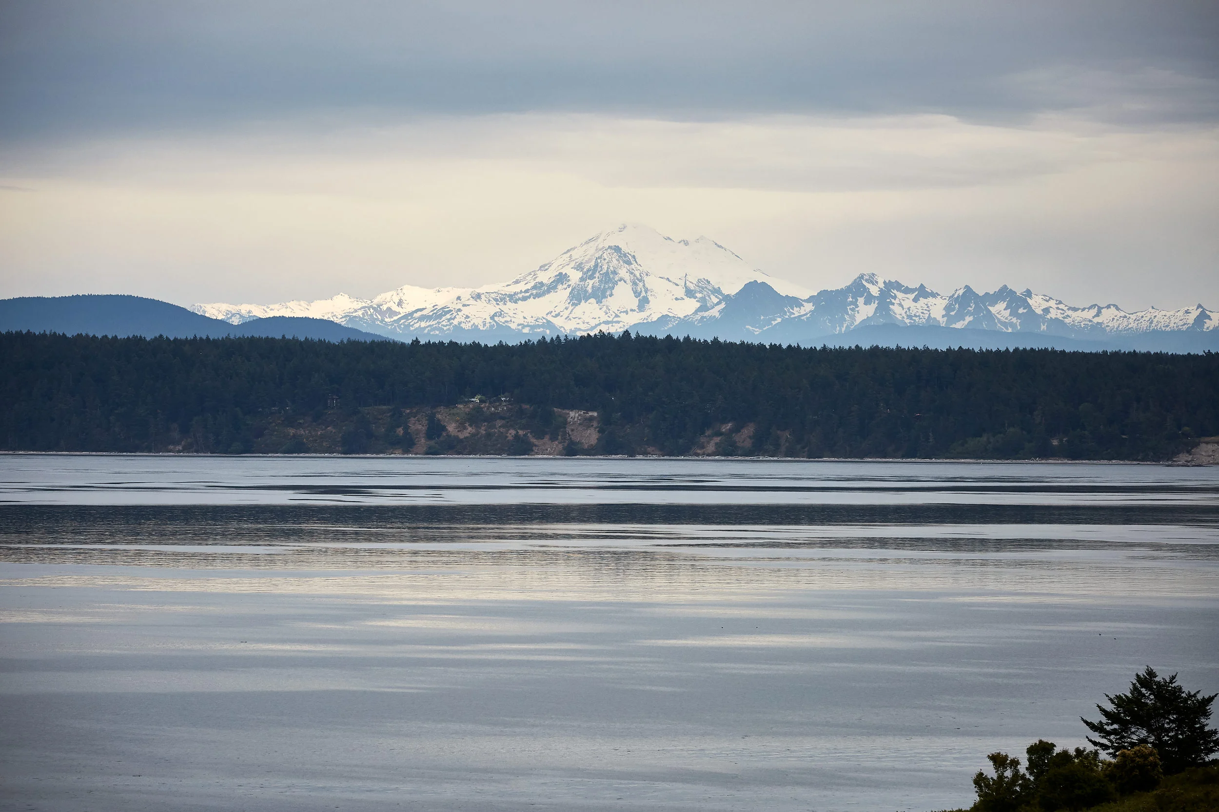 061318_roche_150.jpg