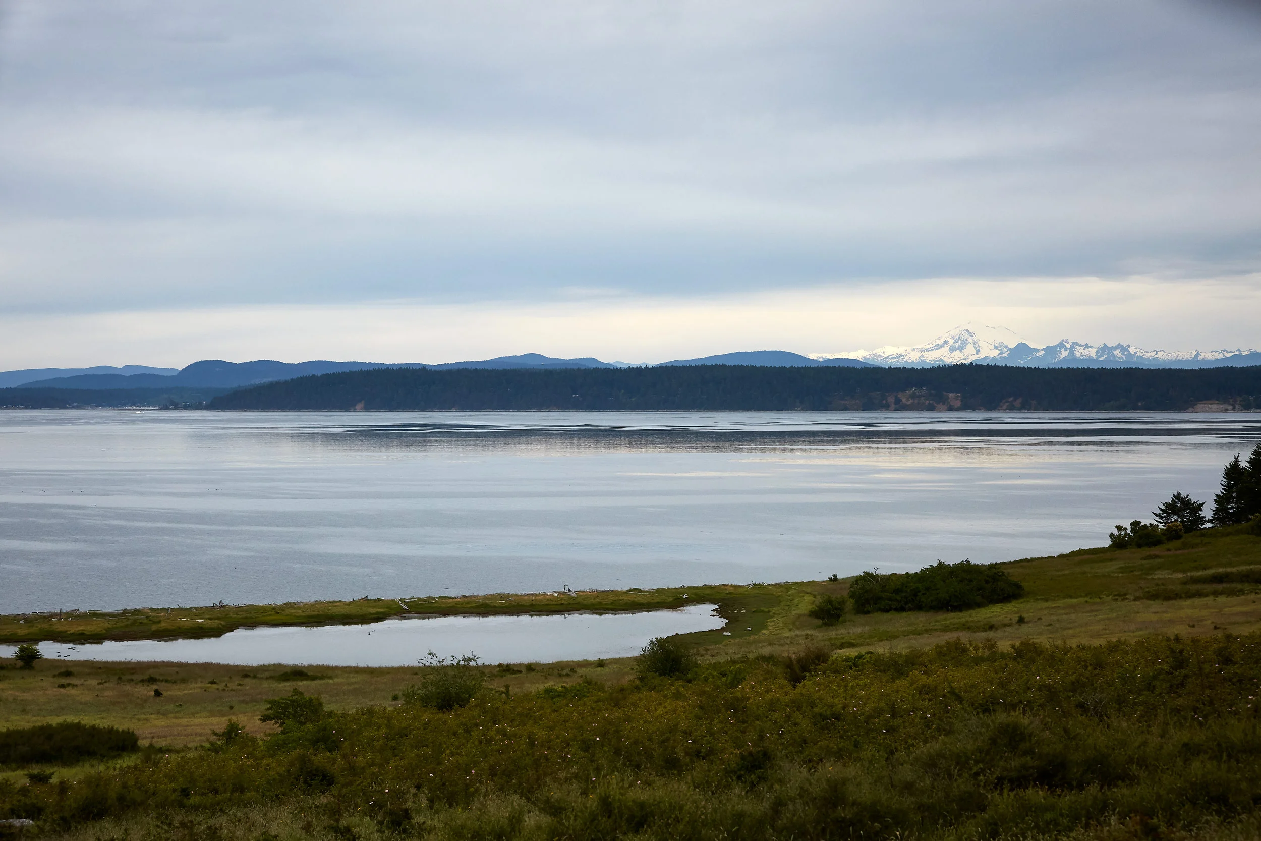 061318_roche_151.jpg