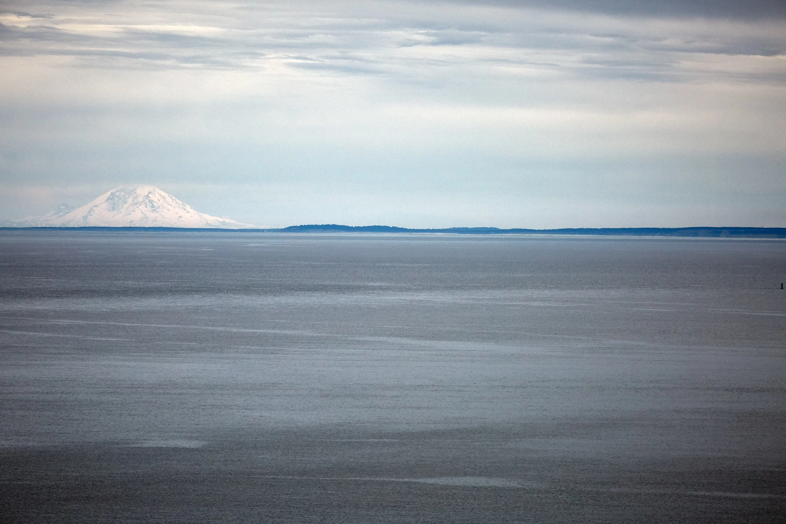 061318_roche_159.jpg