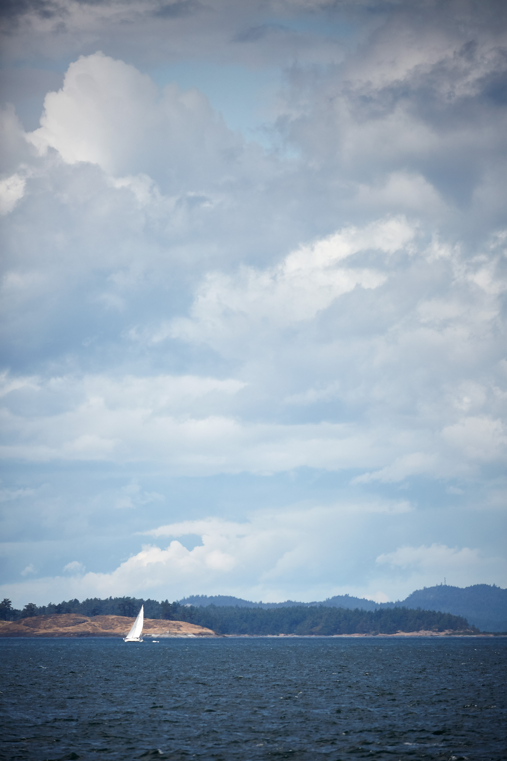 061318_roche_179.jpg