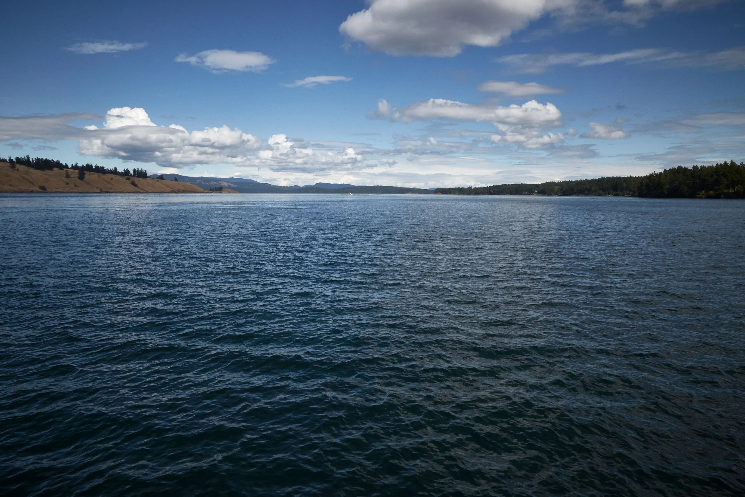 061318_roche_726.jpg