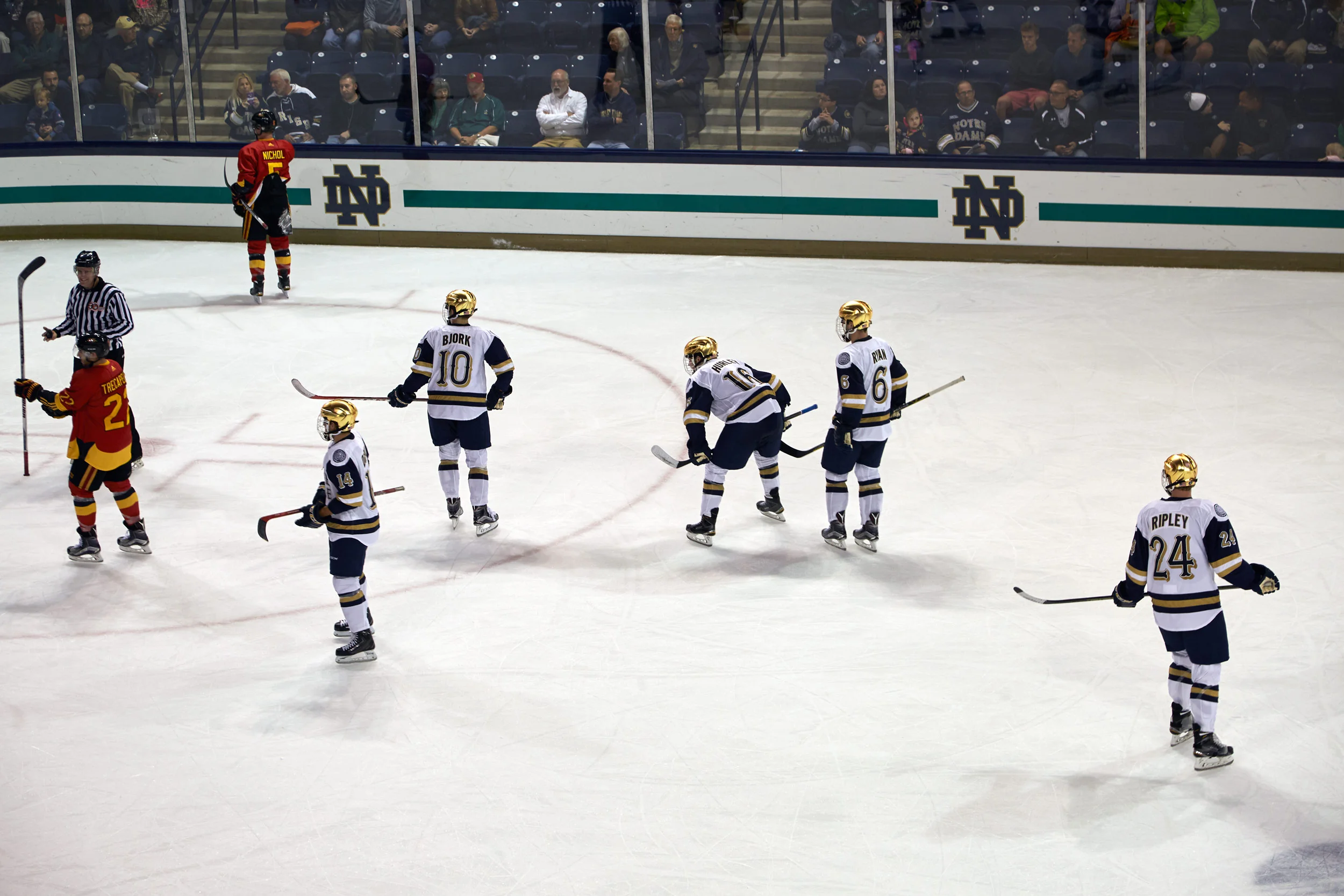 101015_notre-dame_069.jpg