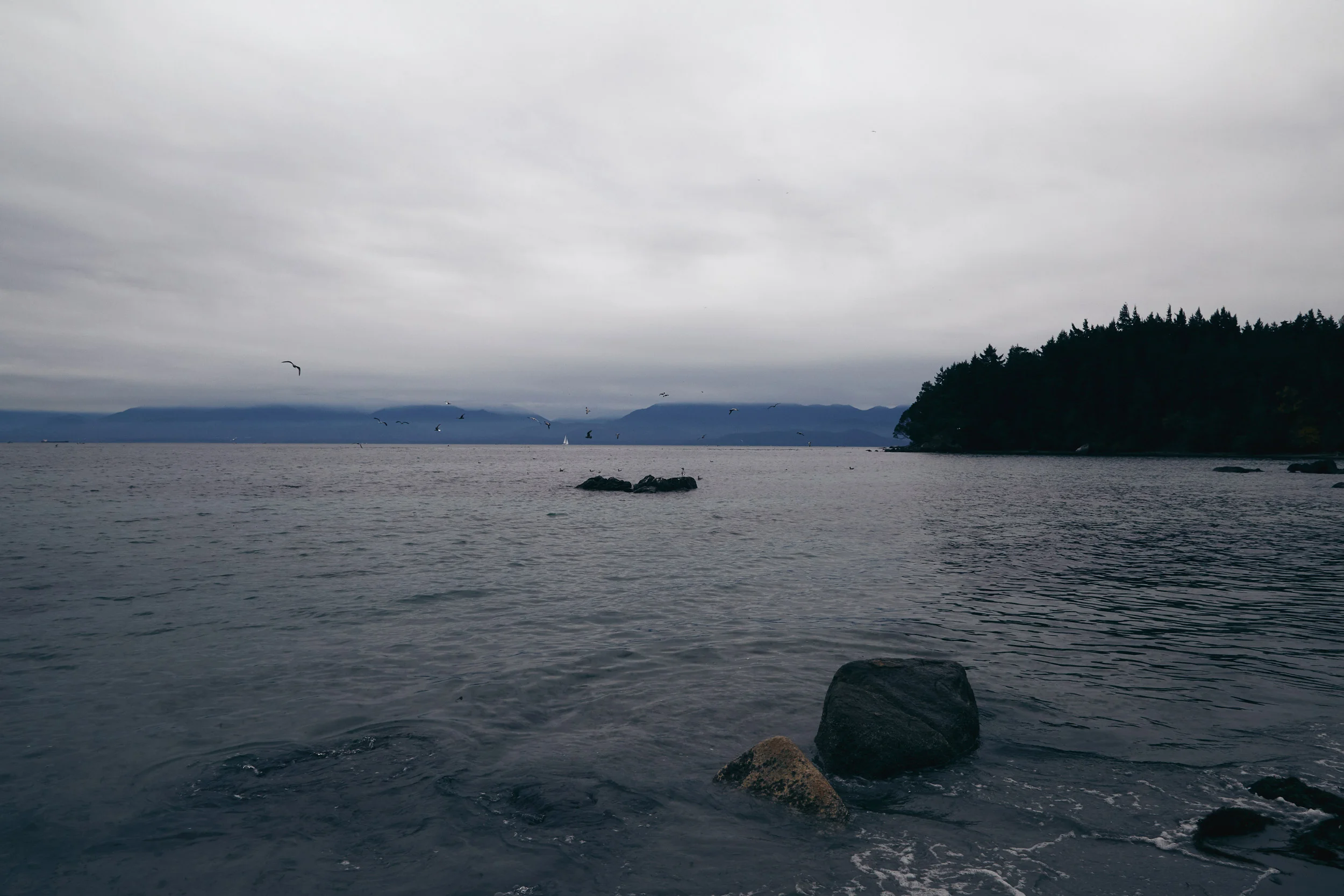101417_sooke_018.jpg