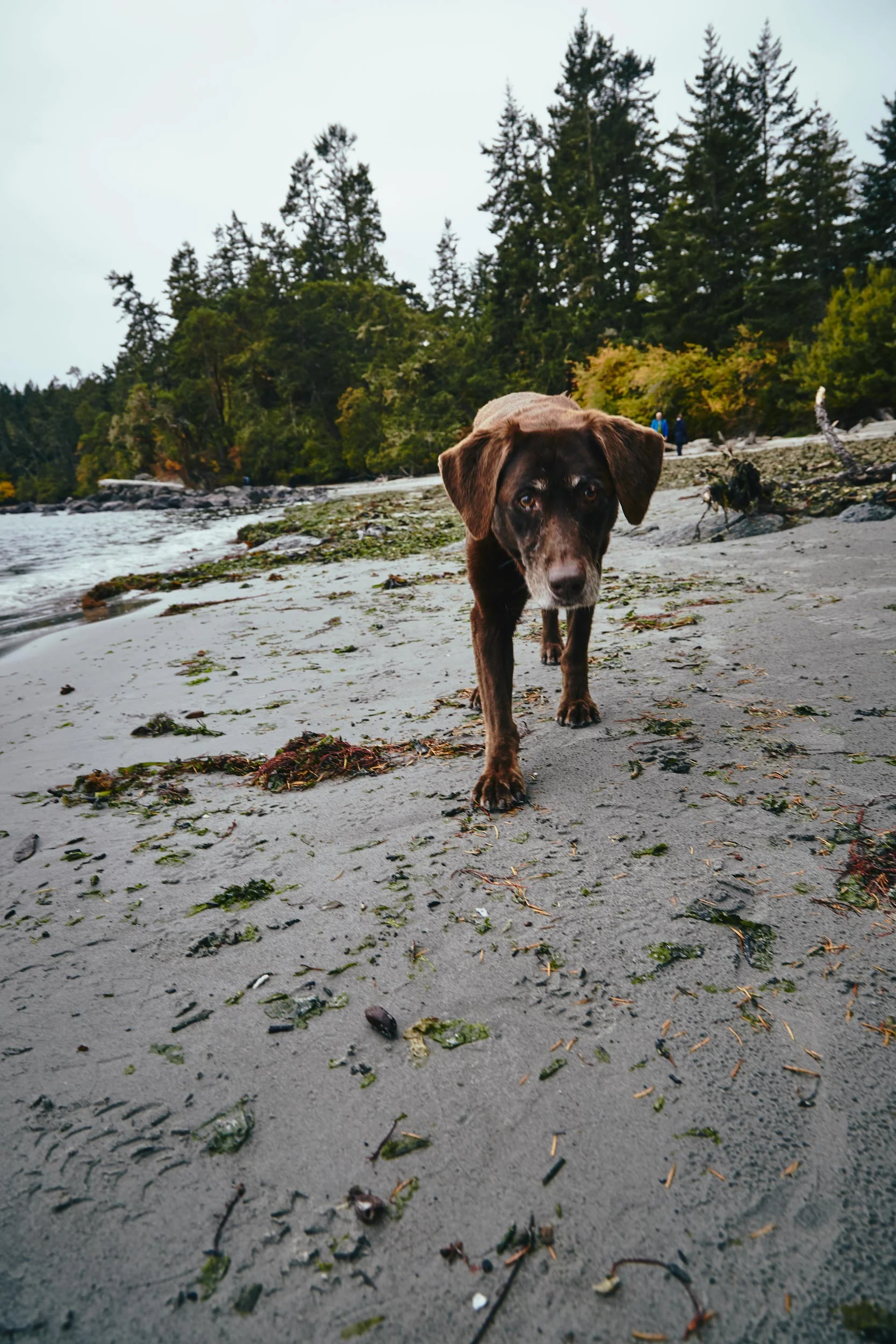 101417_sooke_038.jpg