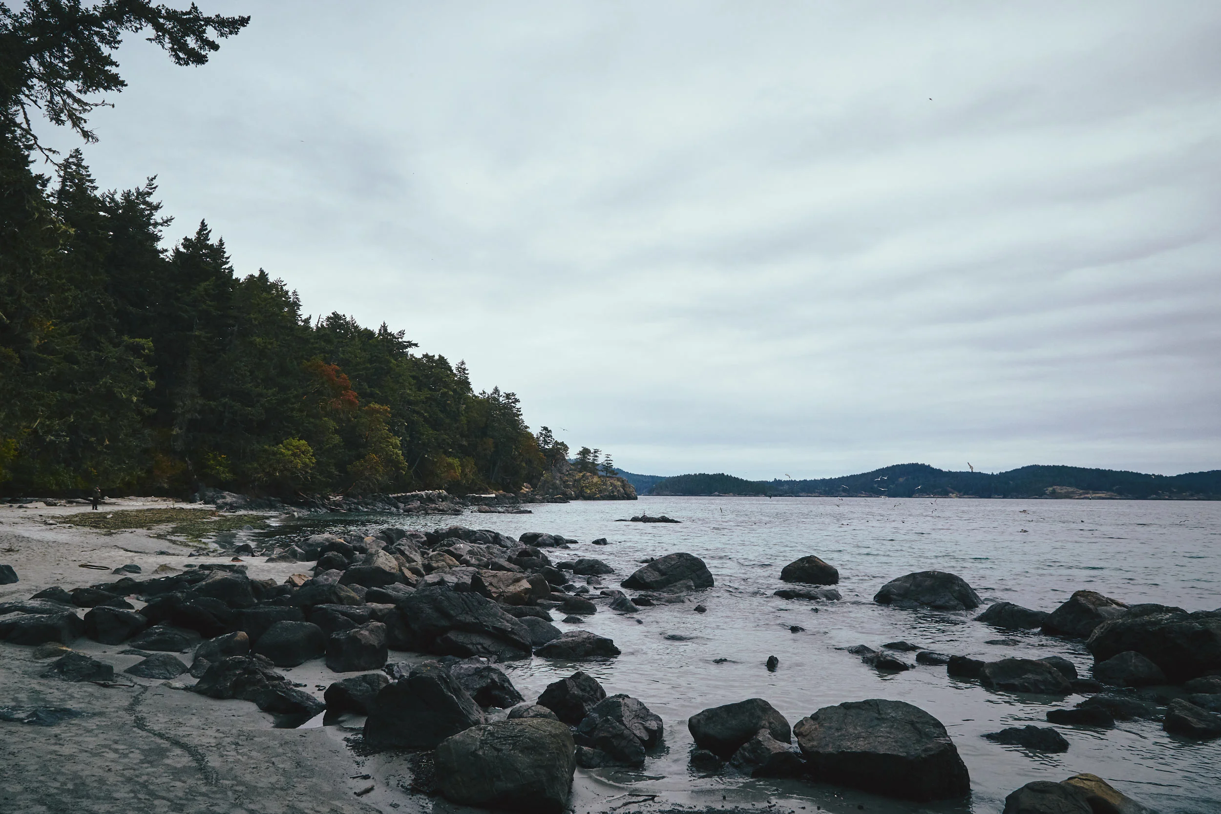 101417_sooke_083.jpg