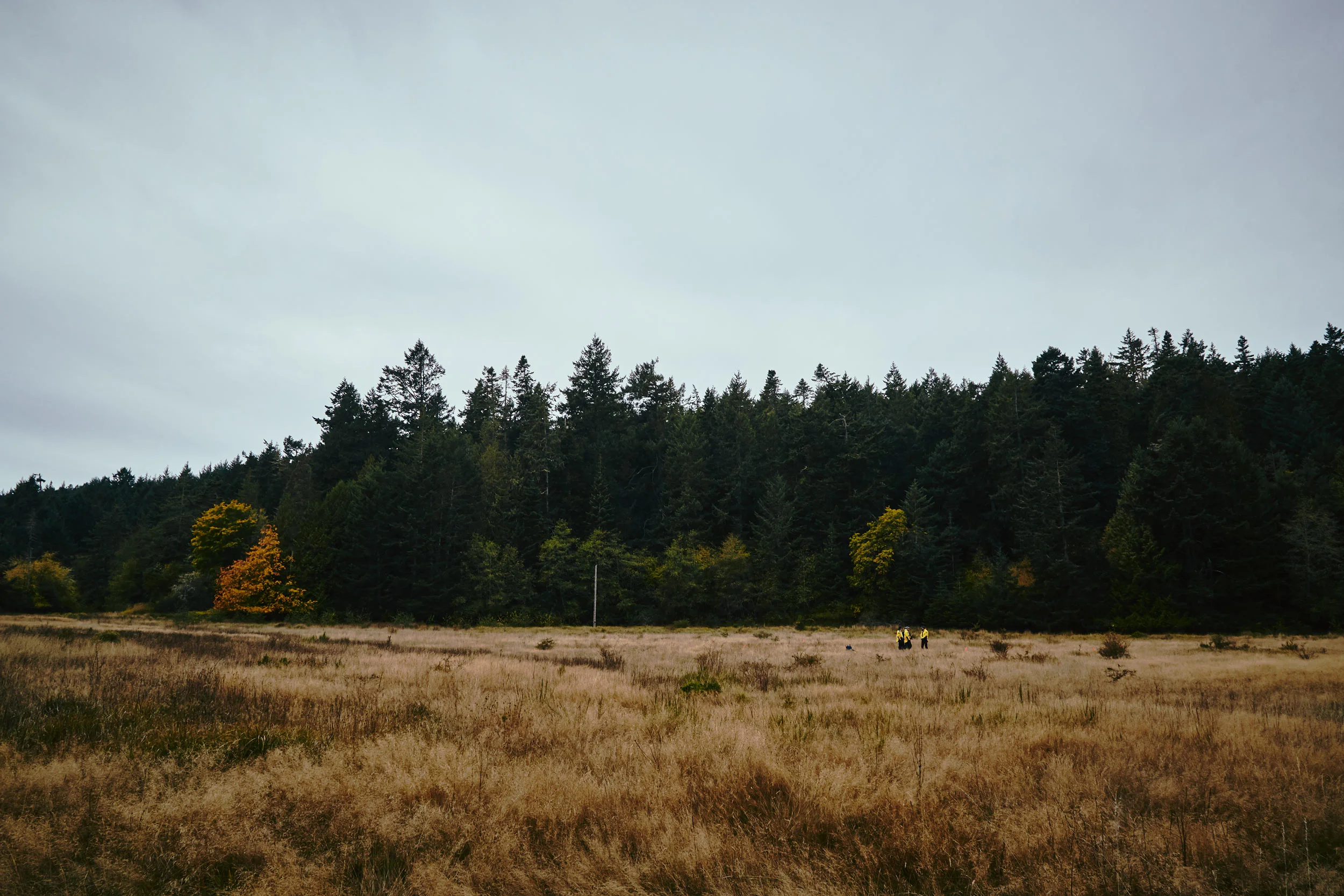 101417_sooke_111.jpg