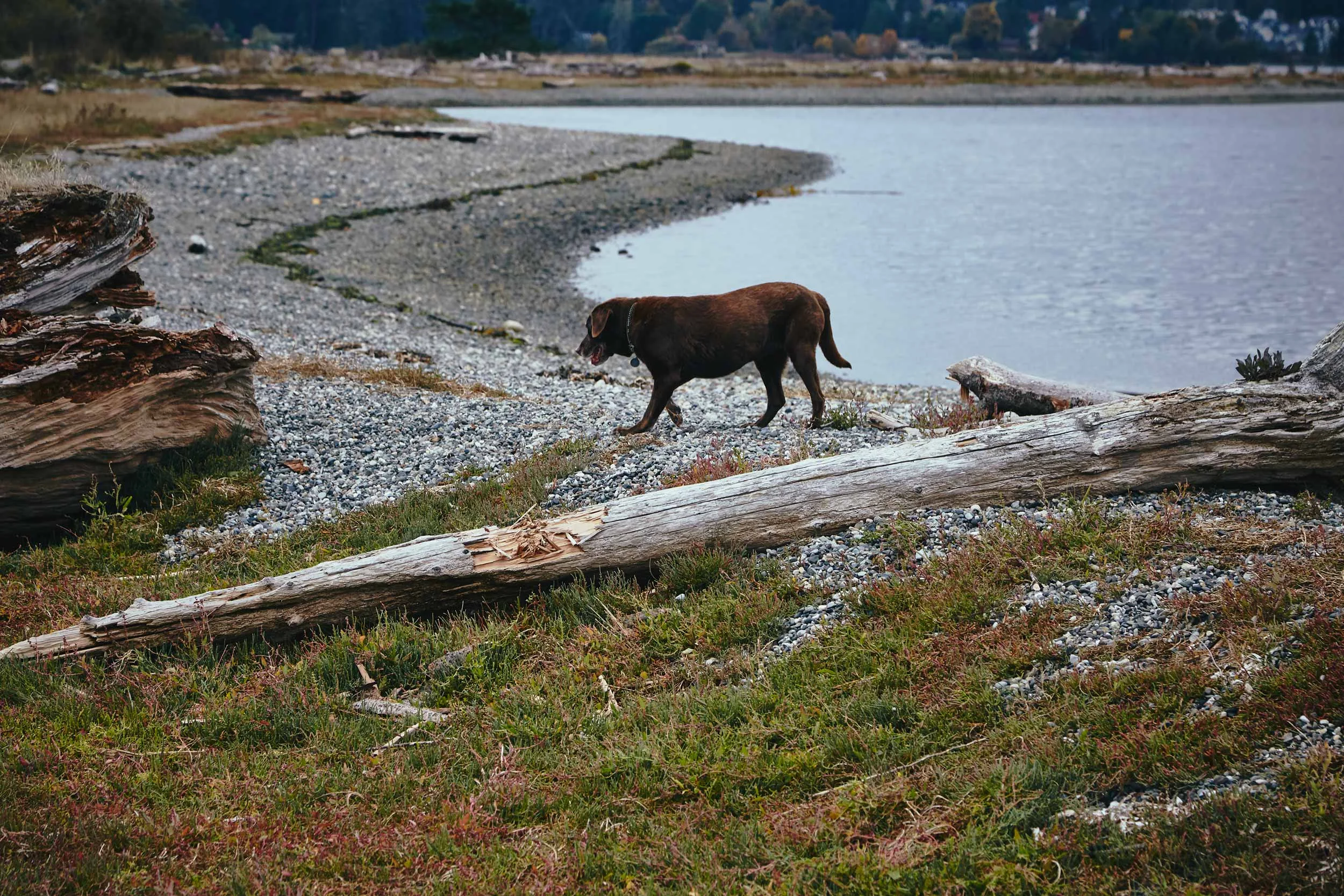 101417_sooke_159.jpg