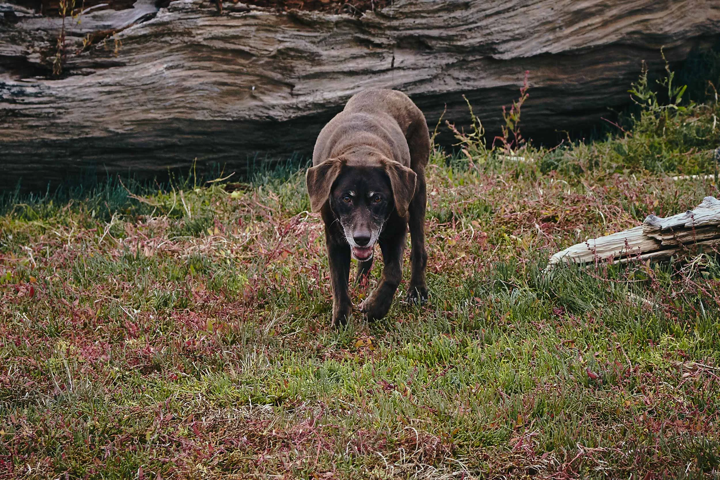 101417_sooke_160.jpg