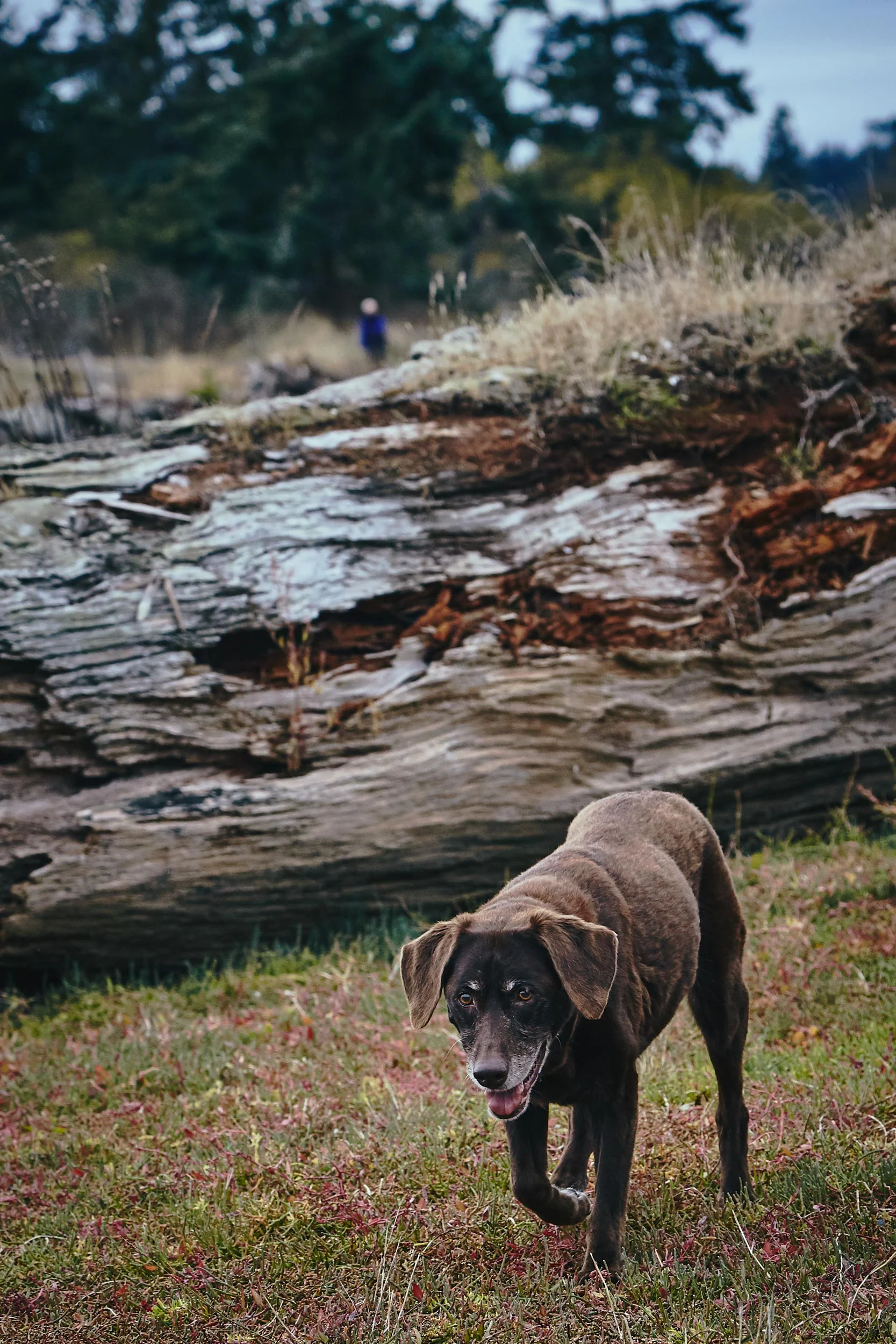101417_sooke_161.jpg