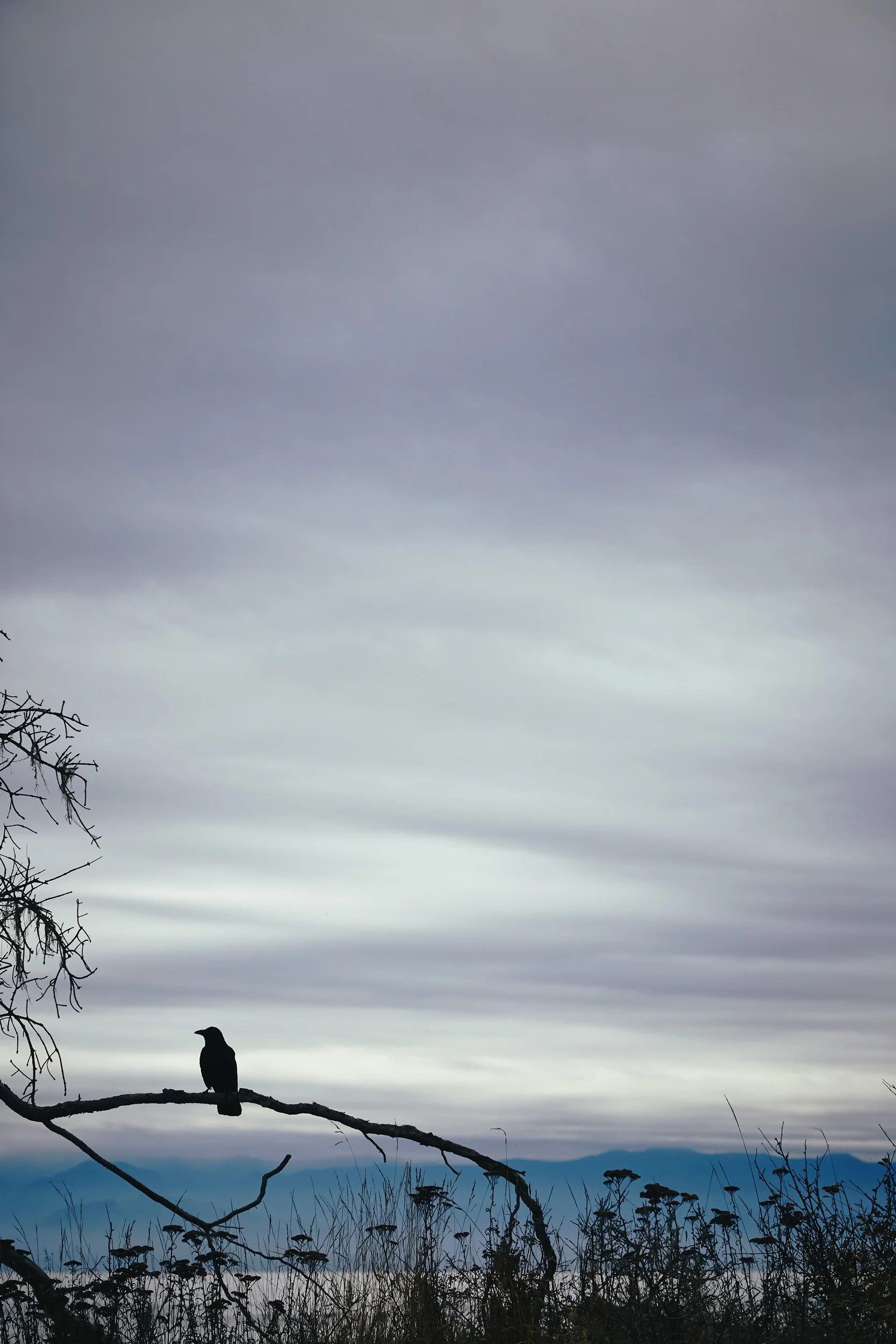 101417_sooke_237.jpg