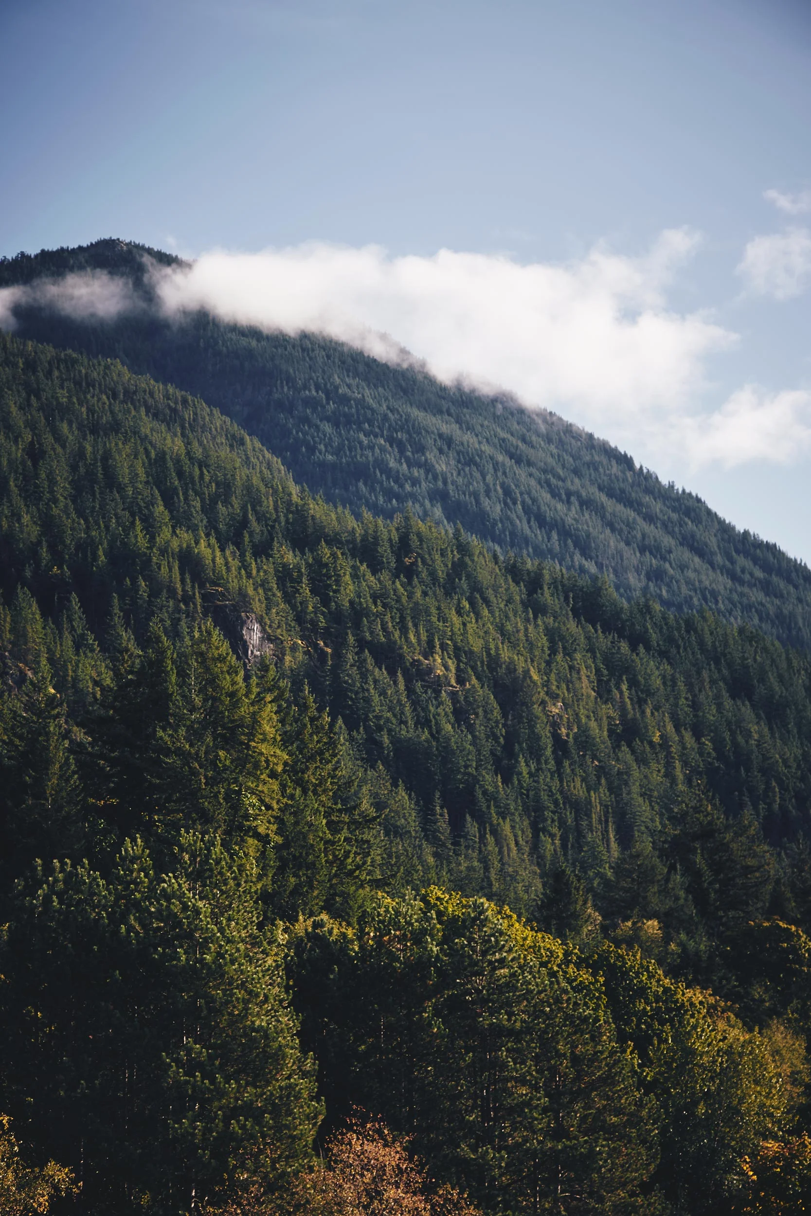 101517_whistler_093.jpg