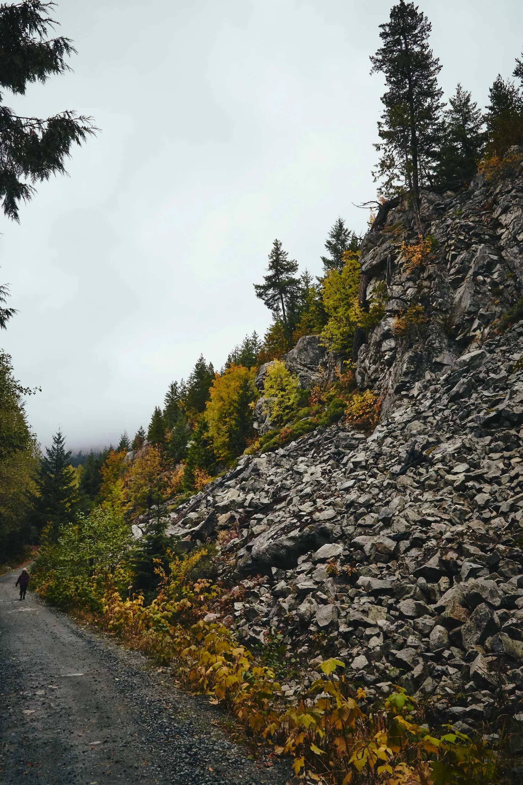 101617_pemberton_059.jpg