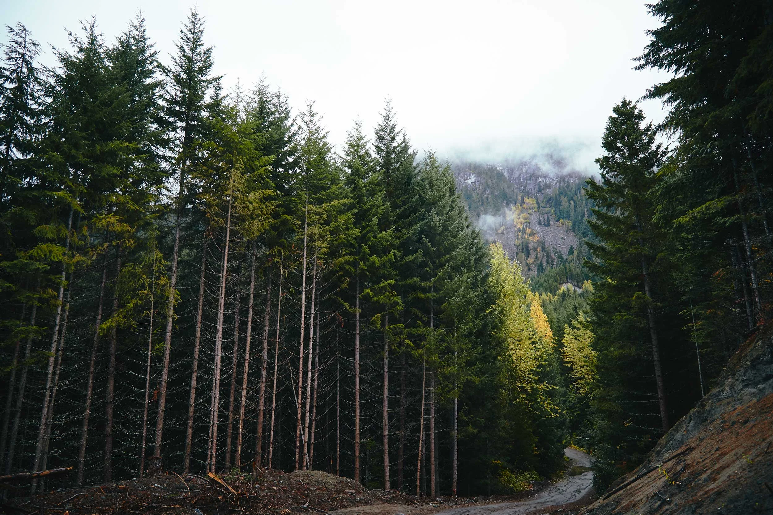 101617_pemberton_070.jpg