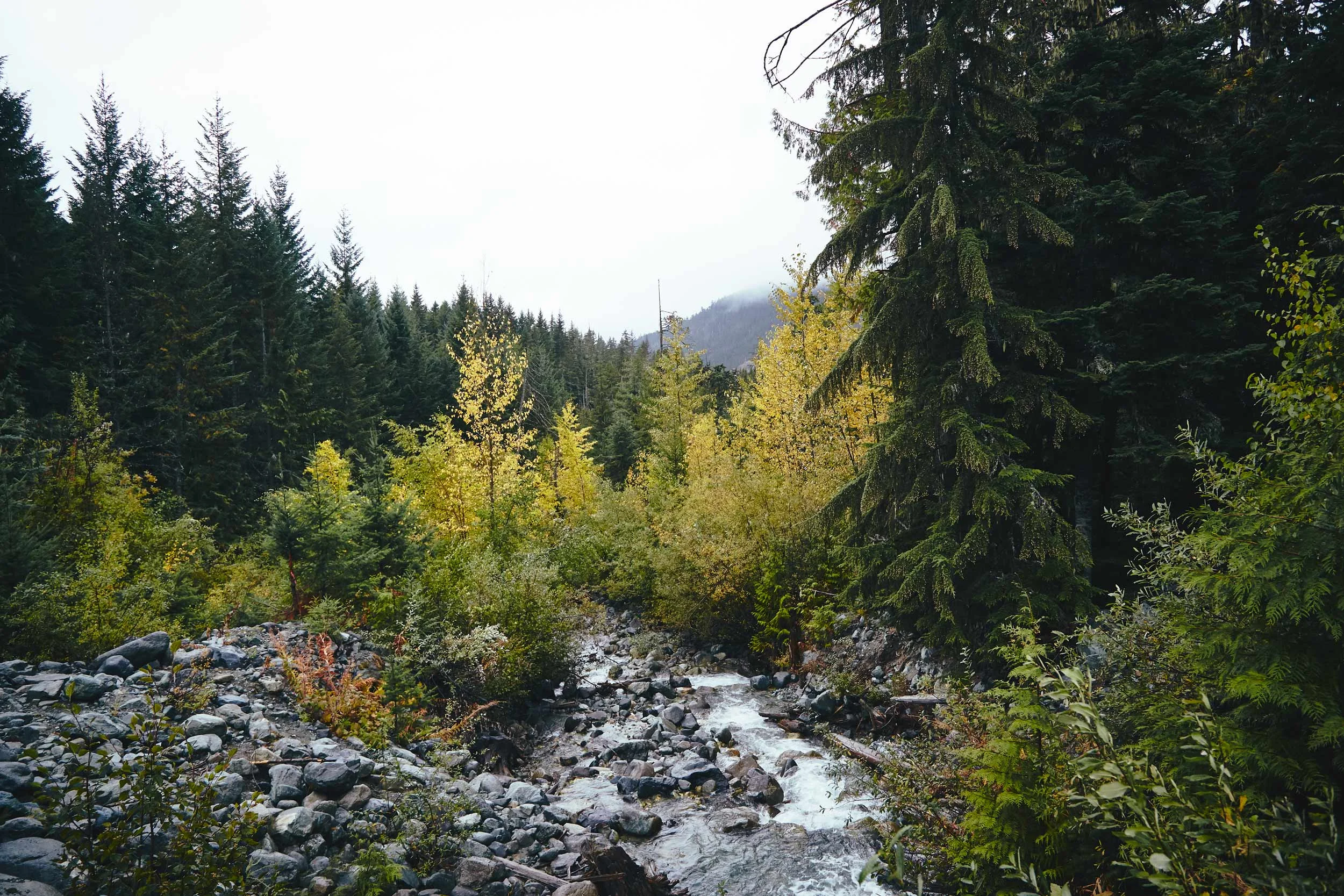 101617_pemberton_079.jpg