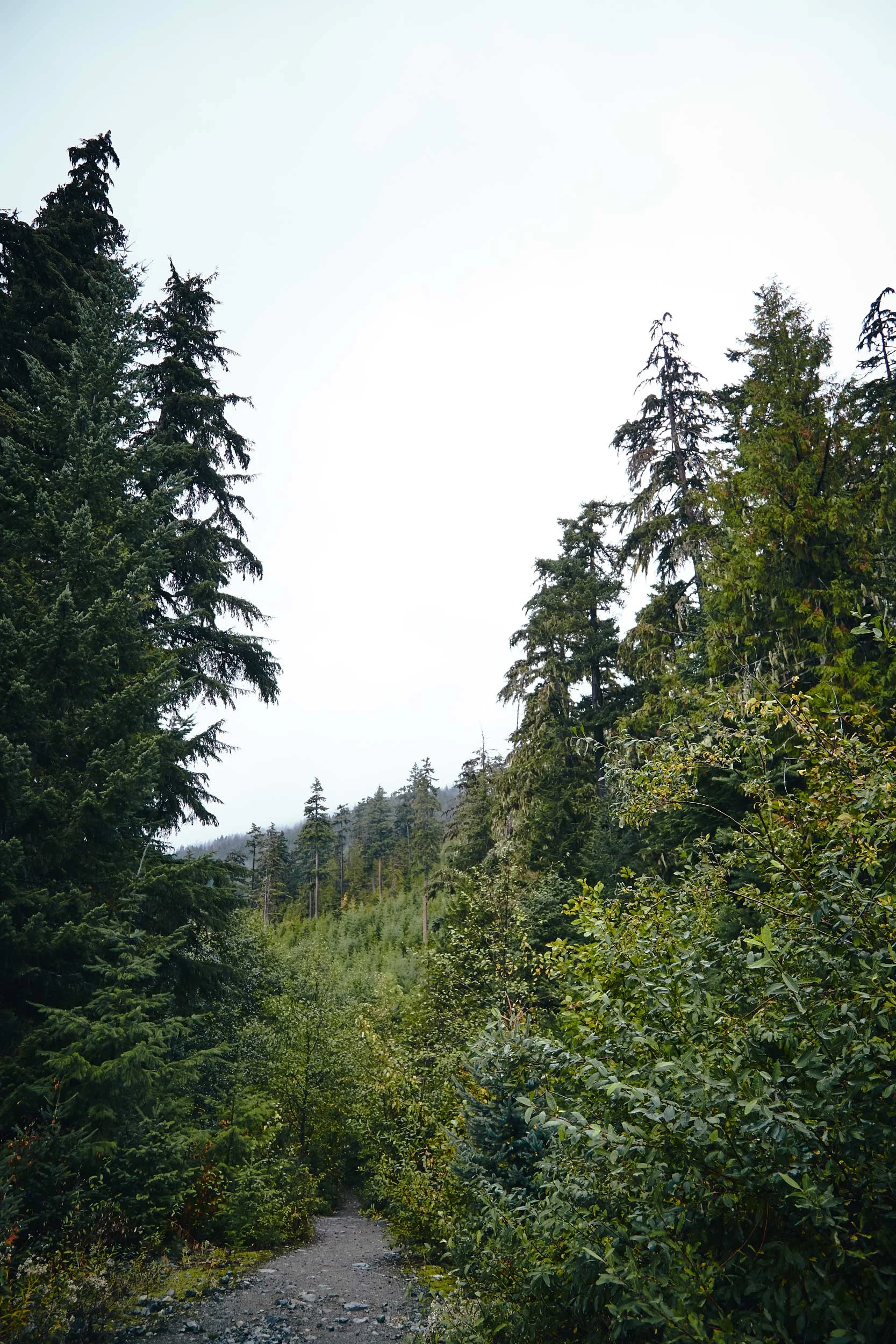 101617_pemberton_084.jpg