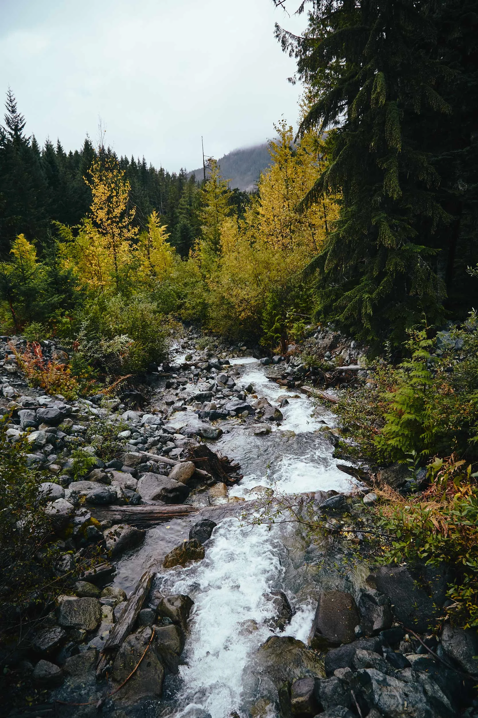 101617_pemberton_090.jpg