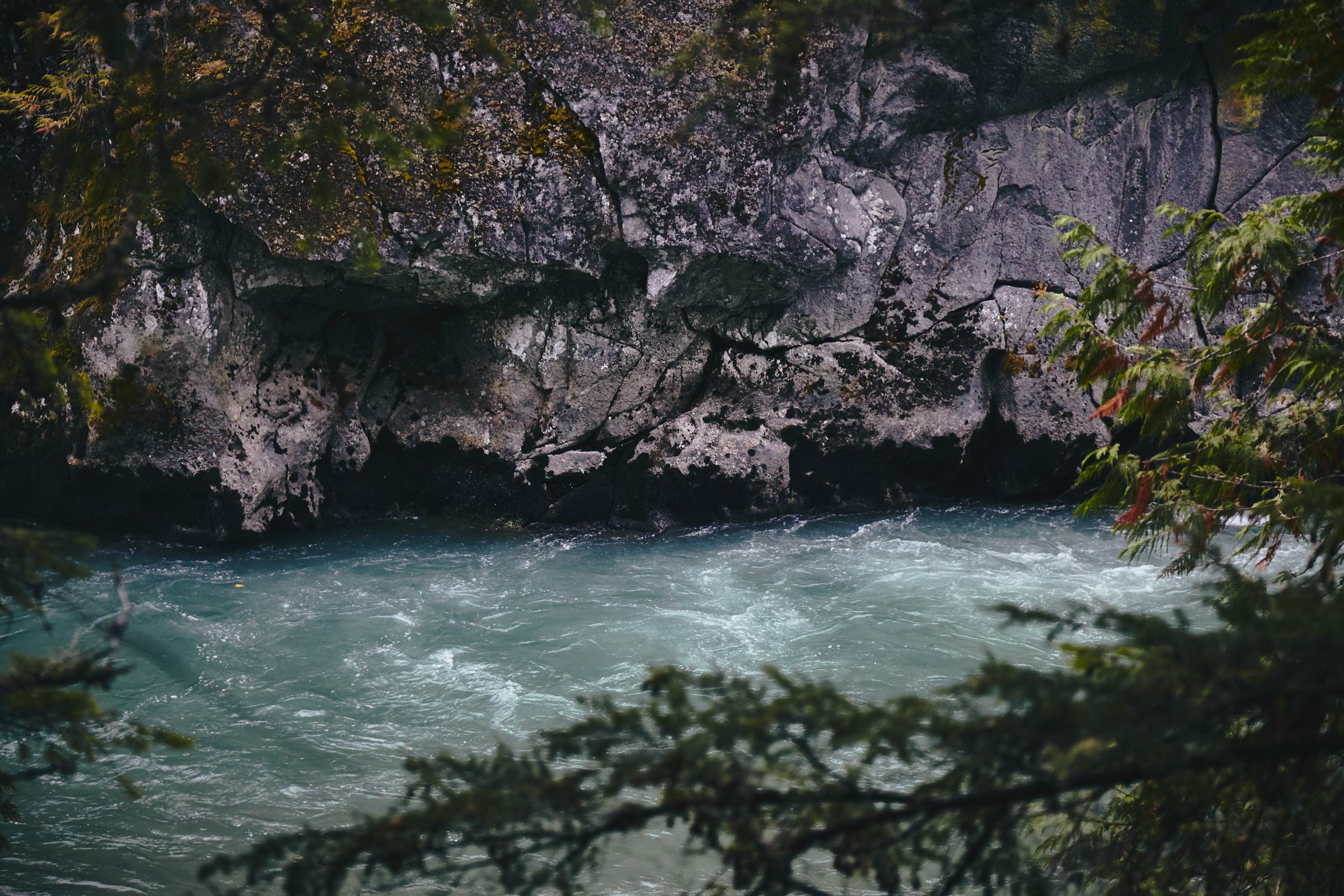 101617_pemberton_104.jpg