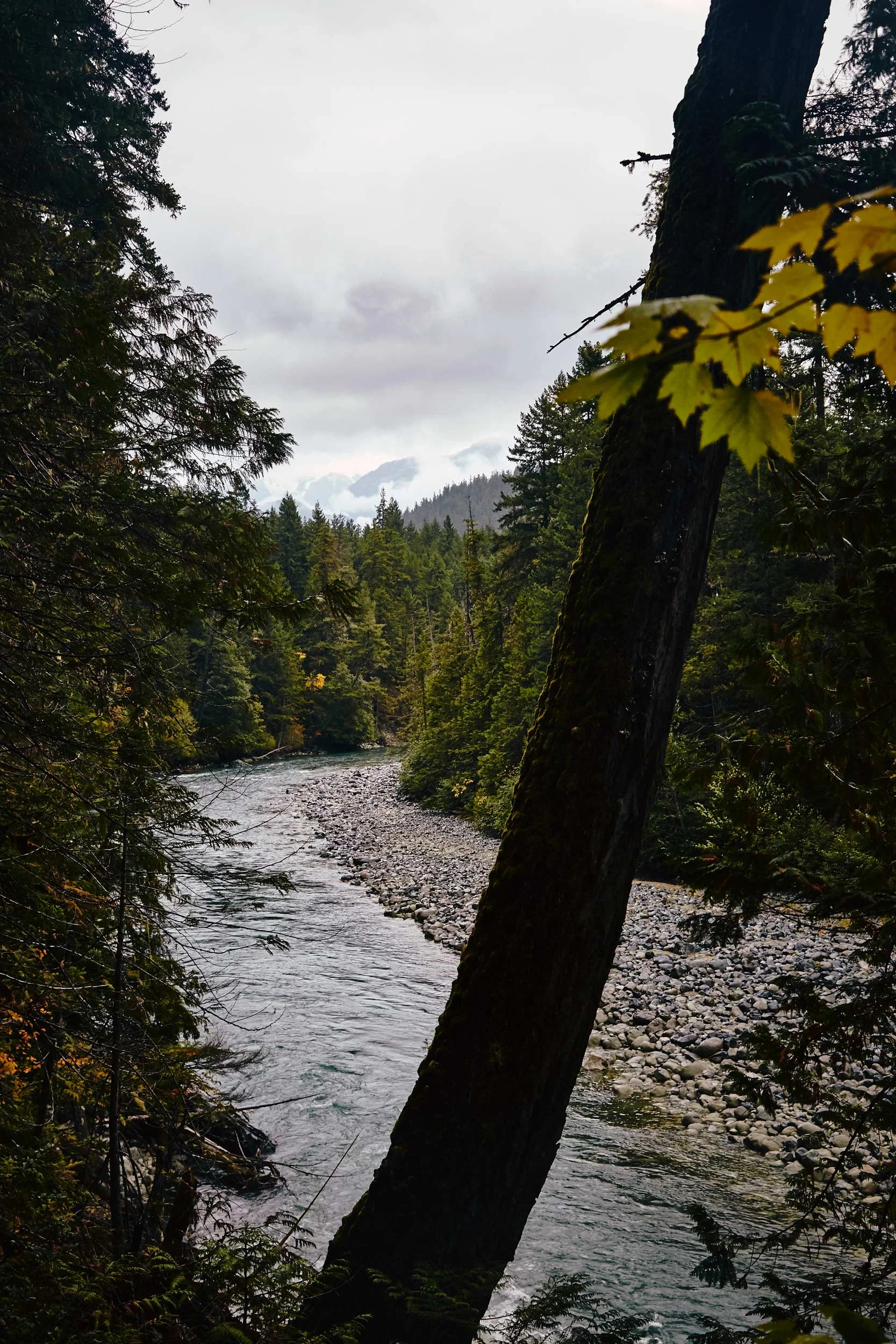 101617_pemberton_106.jpg