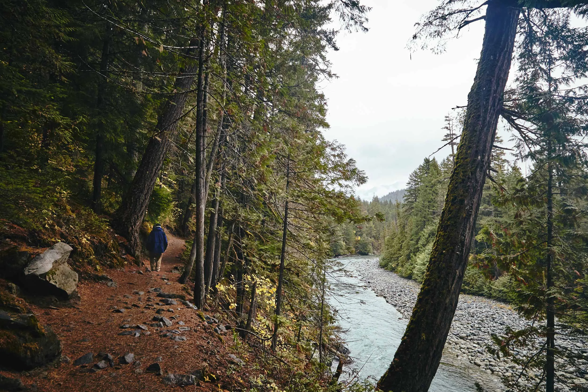 101617_pemberton_109.jpg