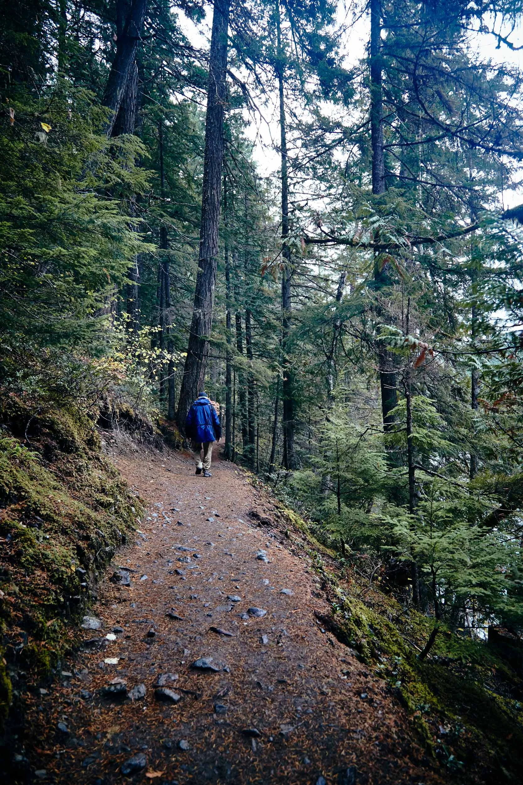 101617_pemberton_110.jpg