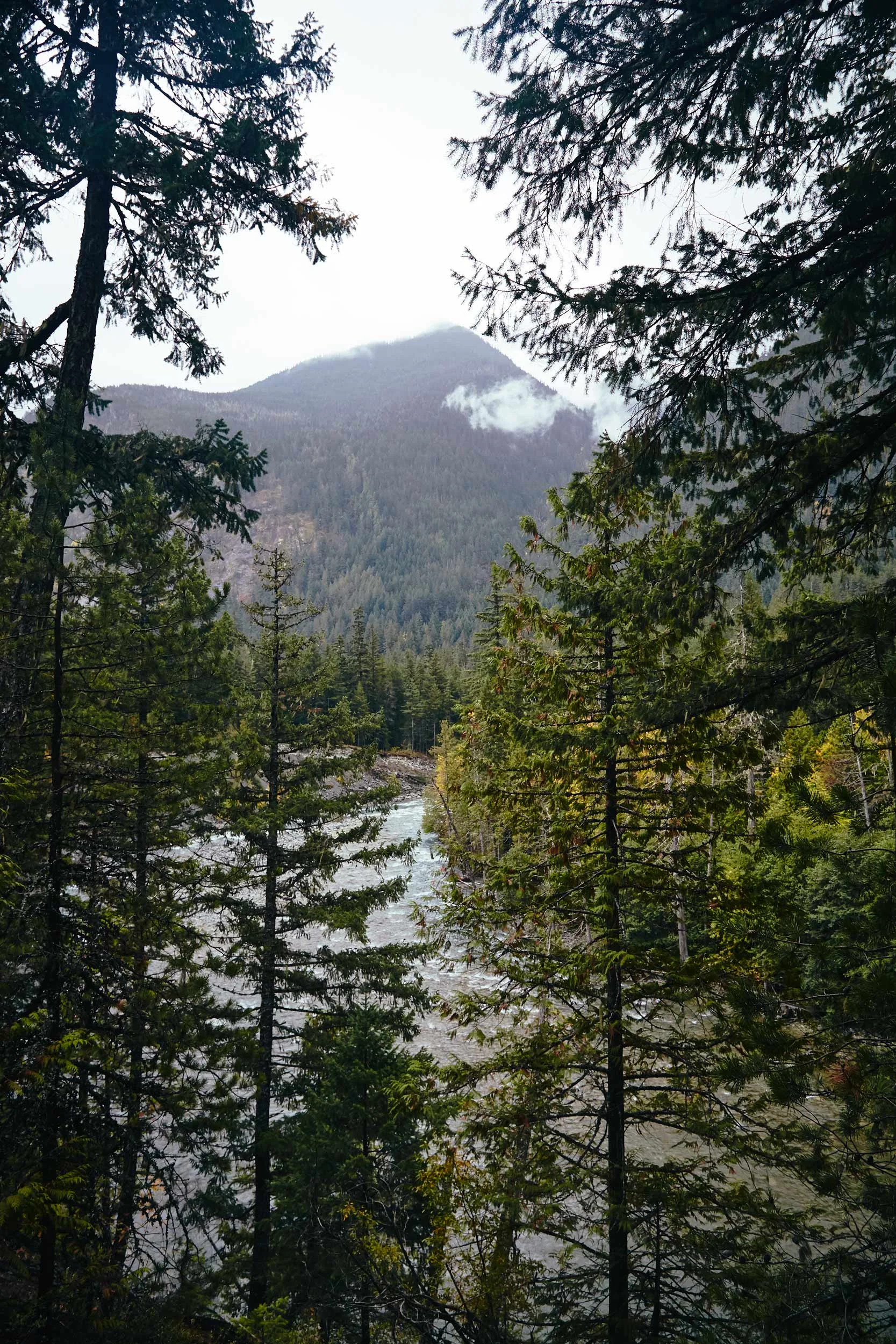 101617_pemberton_121.jpg