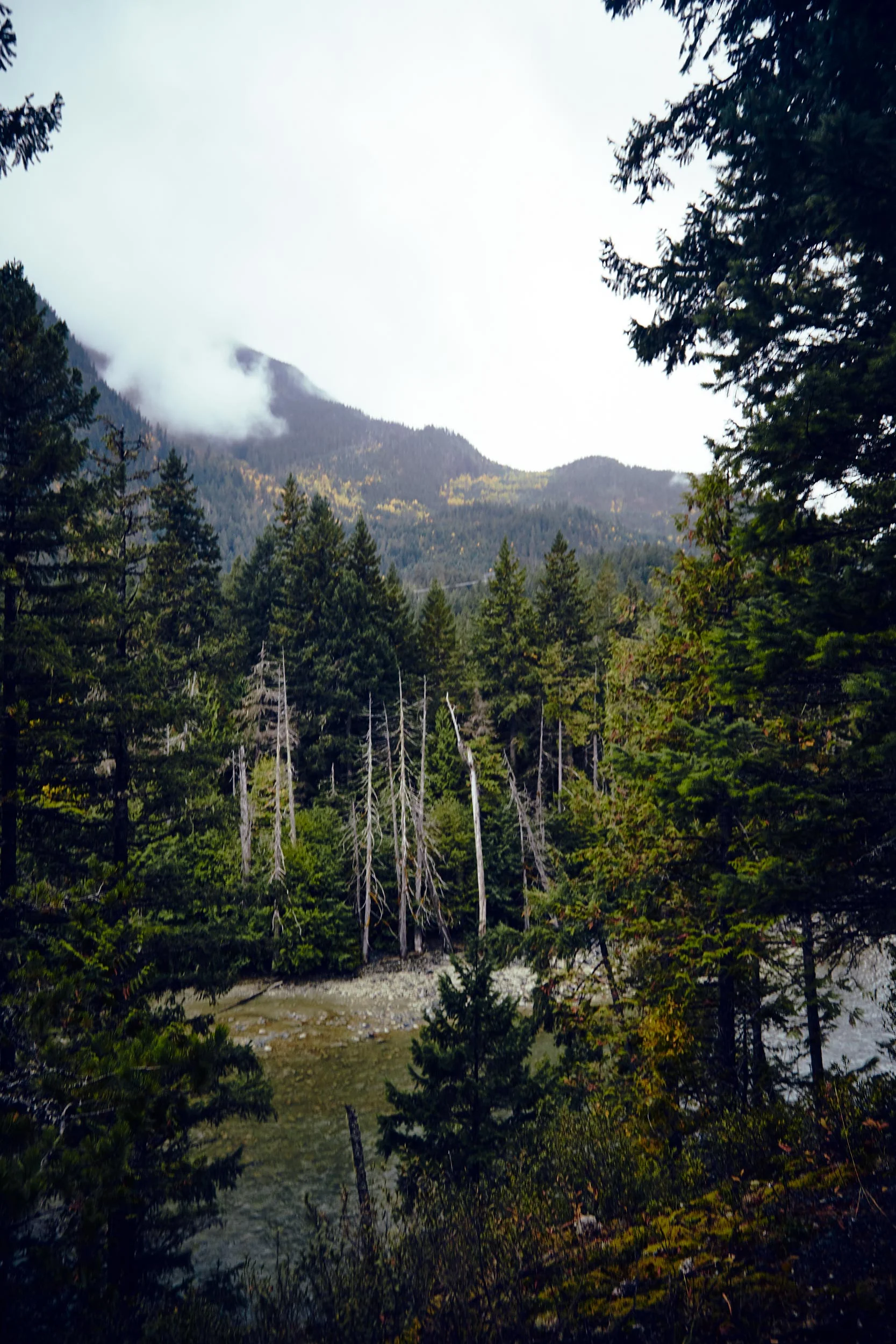 101617_pemberton_122.jpg