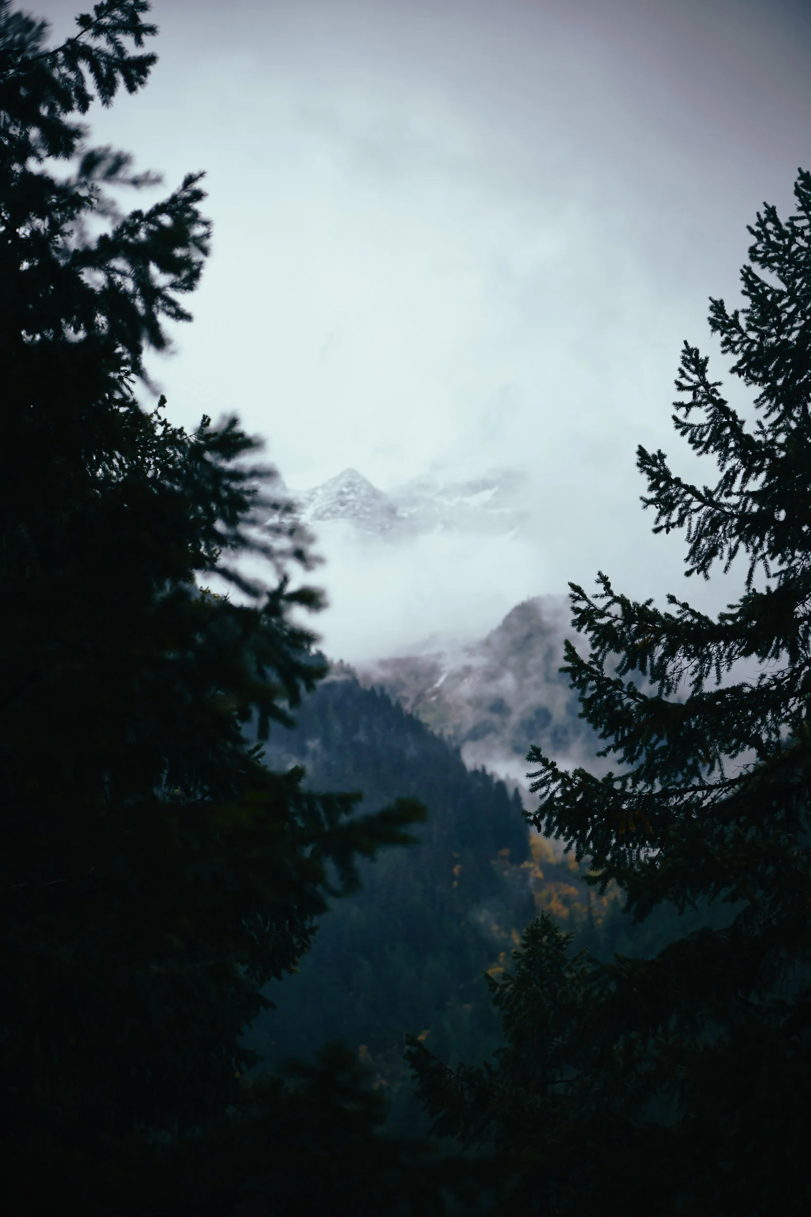 101617_pemberton_129.jpg