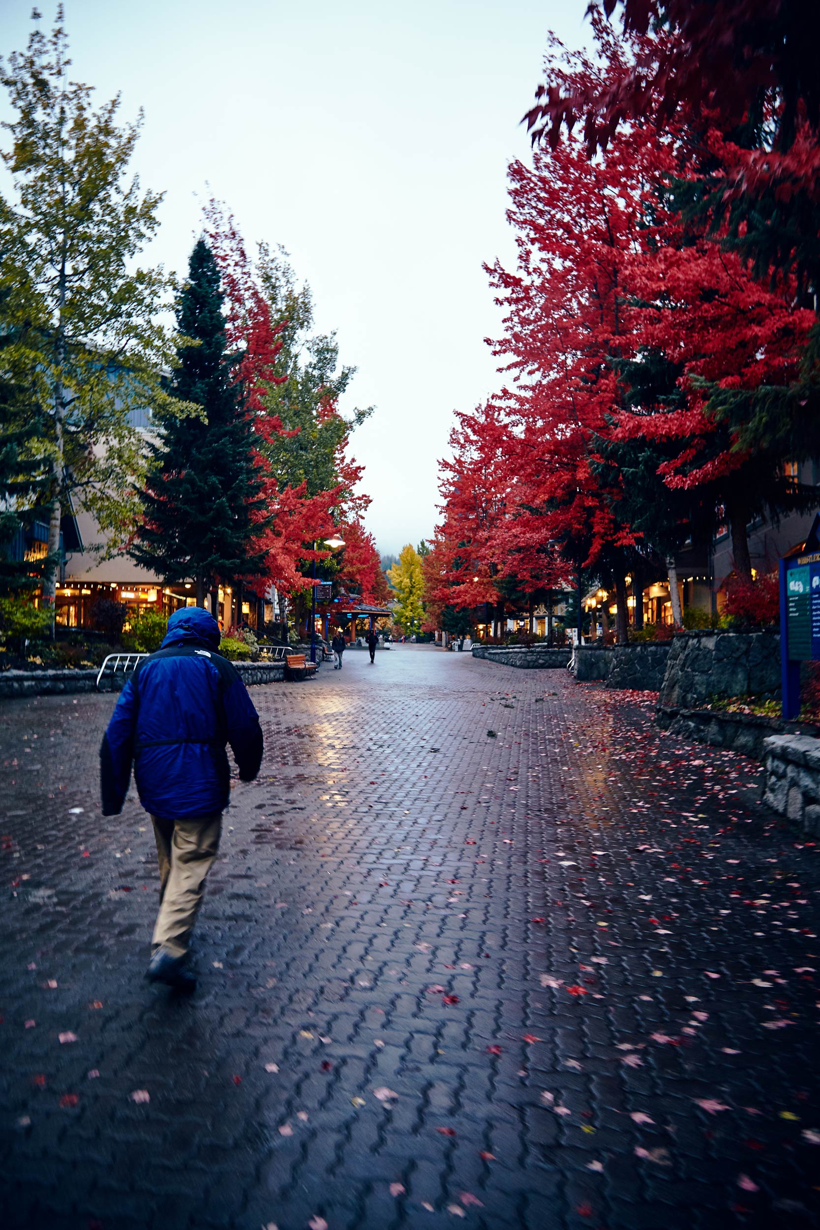 101617_pemberton_133.jpg