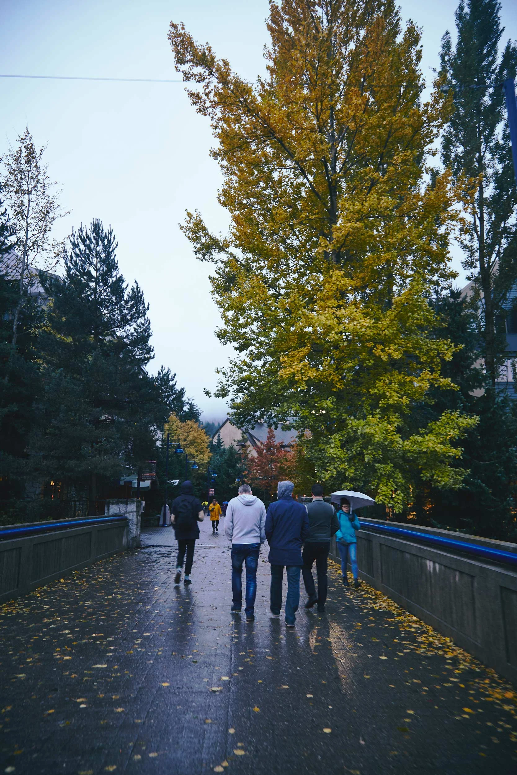 101617_pemberton_136.jpg